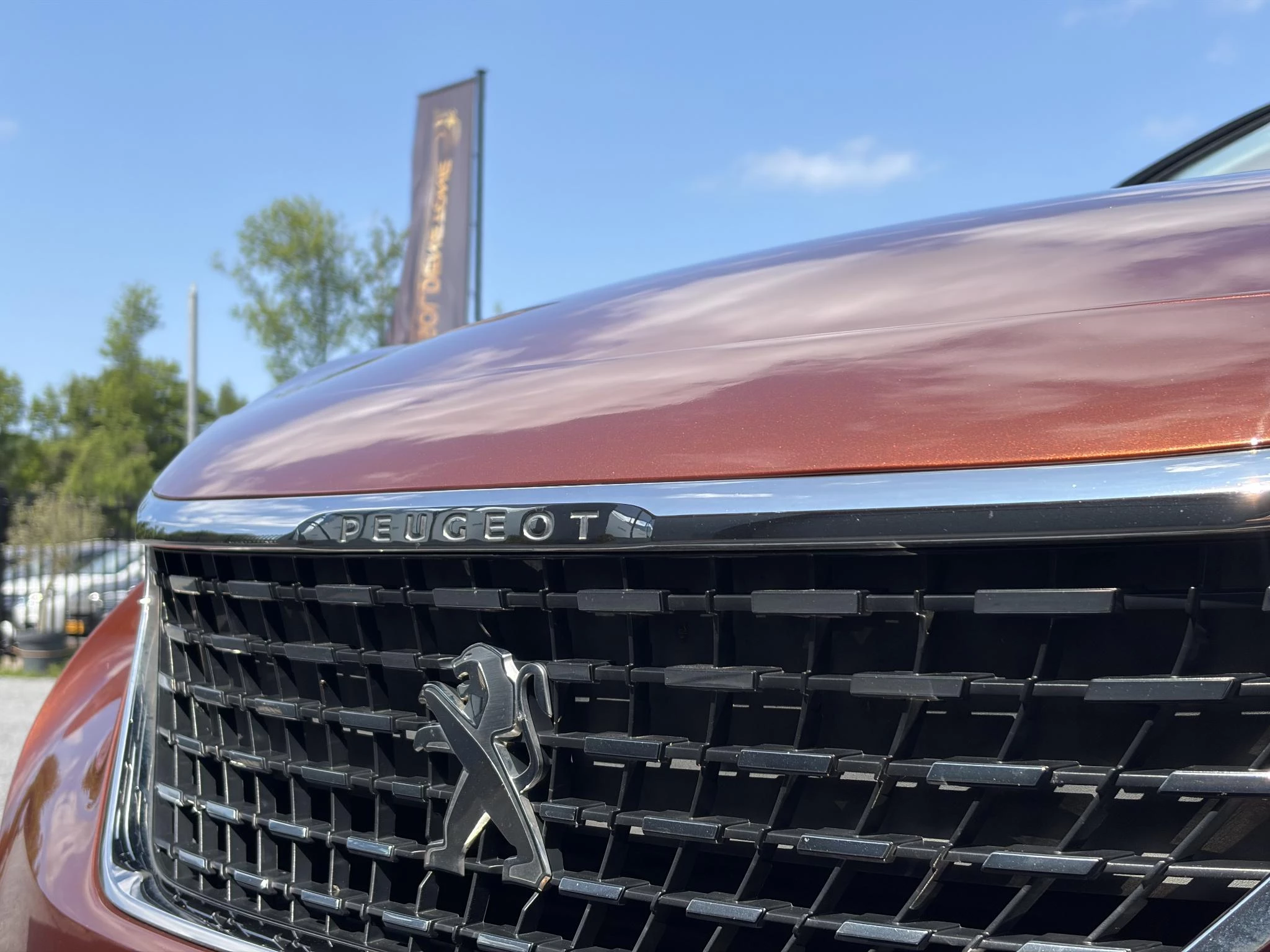 Hoofdafbeelding Peugeot 3008