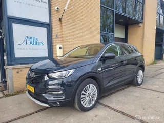 Opel Grandland X 1.2 Turbo Business Executive 2 jaar Abk Nap