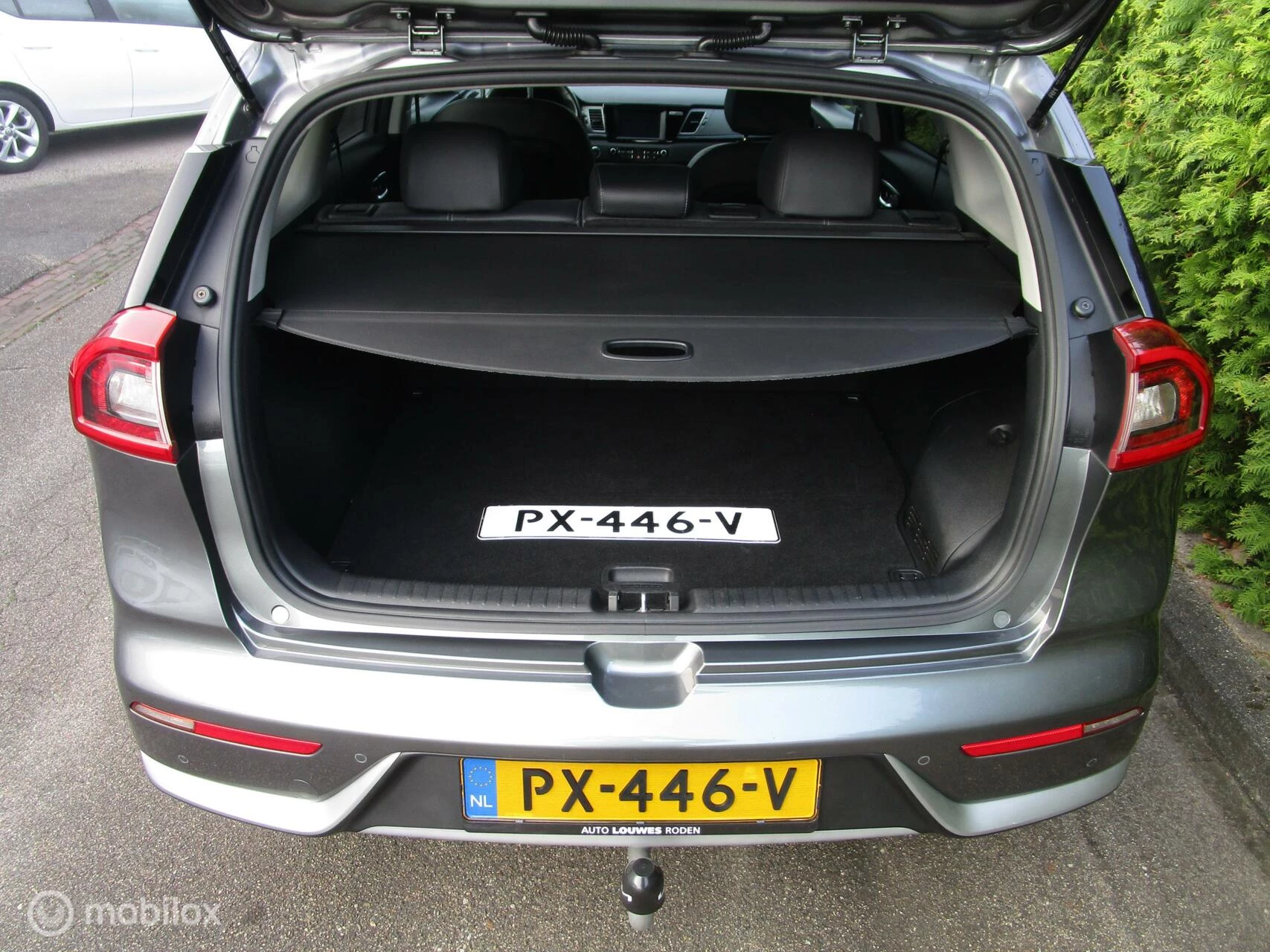 Hoofdafbeelding Kia Niro
