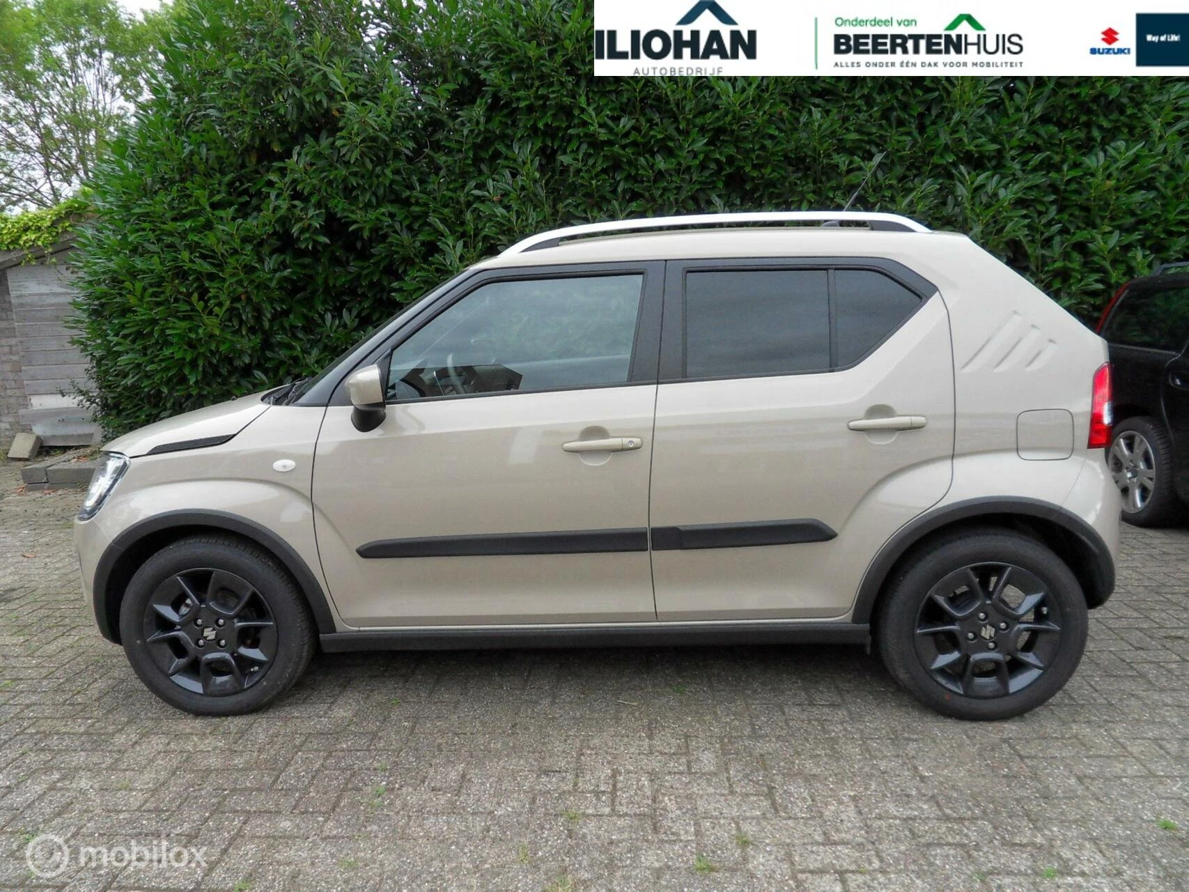 Hoofdafbeelding Suzuki Ignis