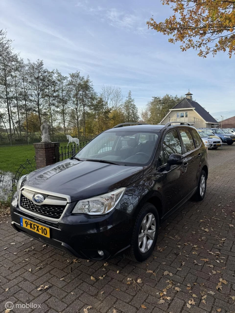 Hoofdafbeelding Subaru Forester