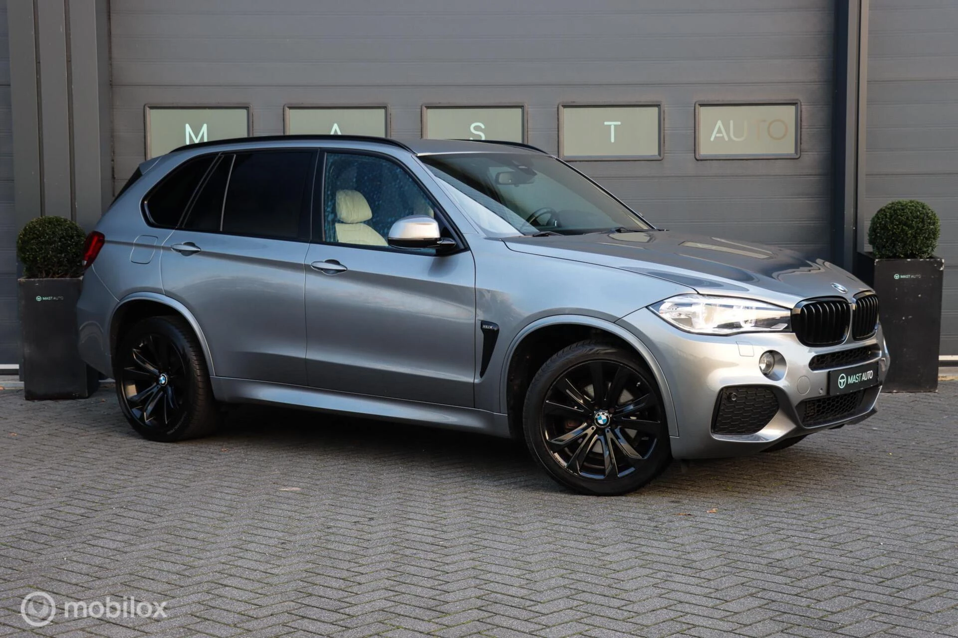 Hoofdafbeelding BMW X5