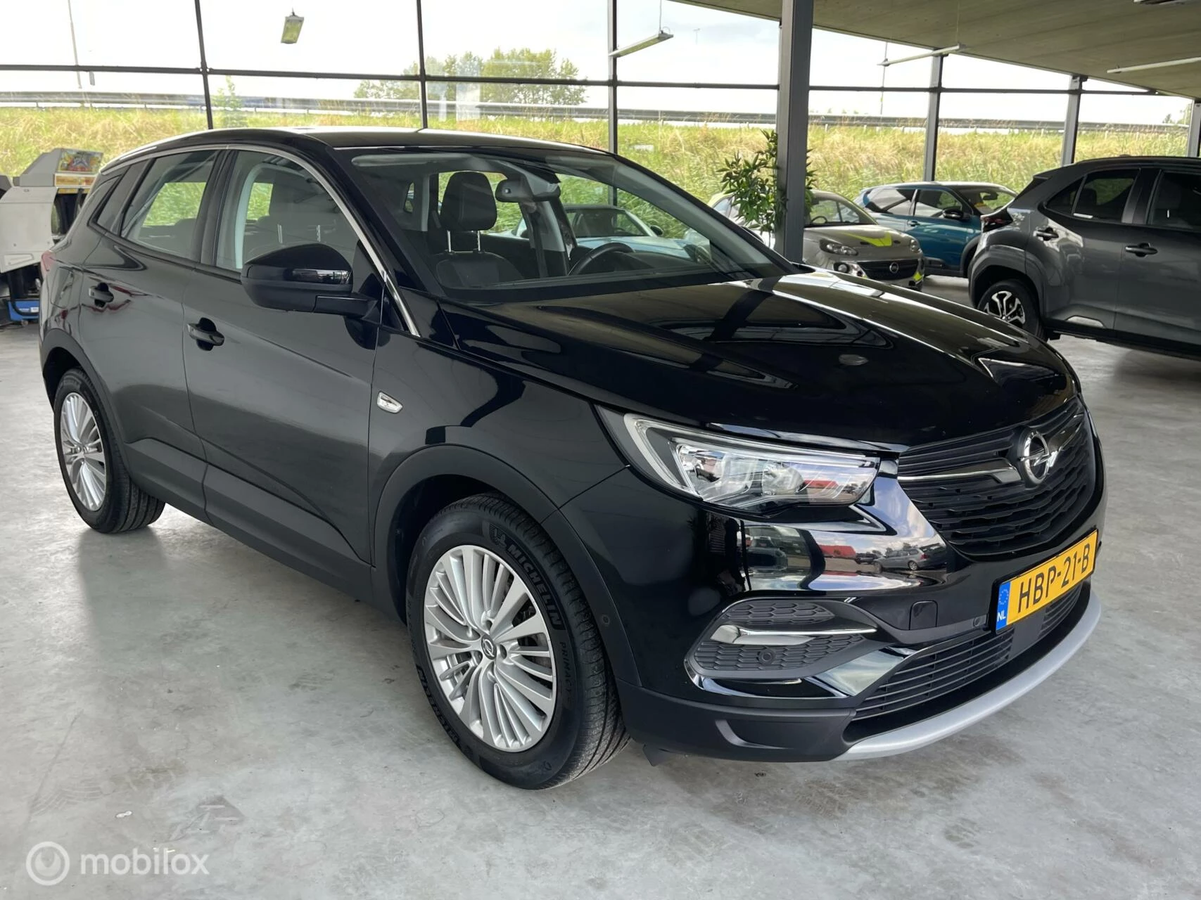 Hoofdafbeelding Opel Grandland X