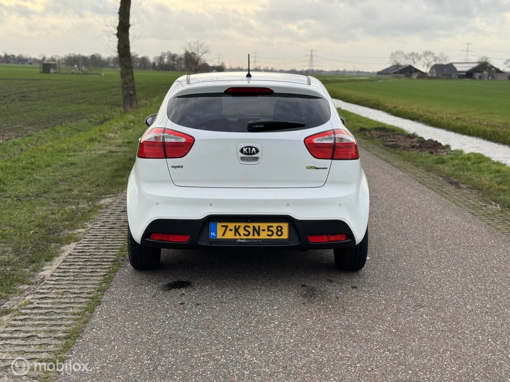 Hoofdafbeelding Kia Rio