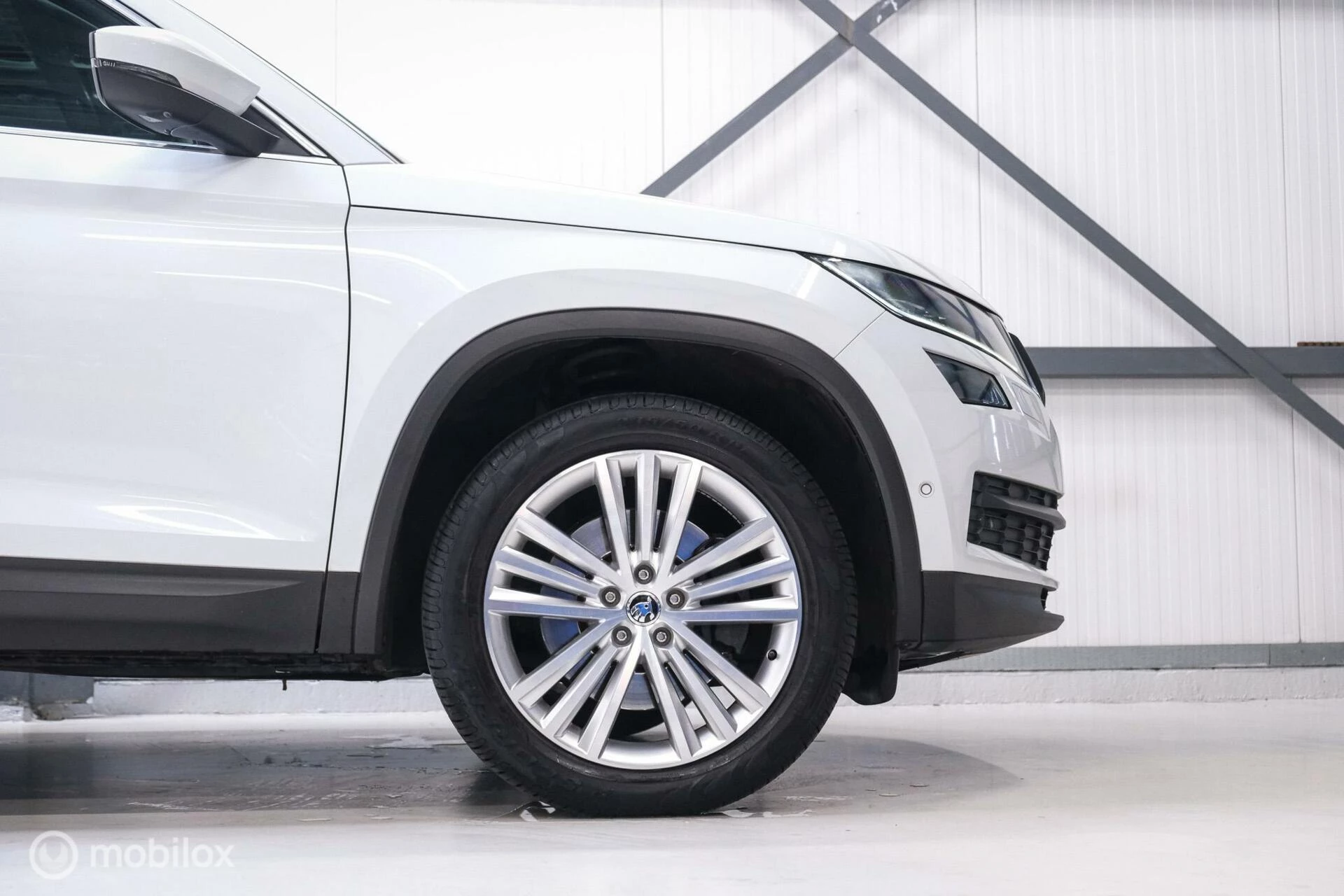 Hoofdafbeelding Škoda Kodiaq