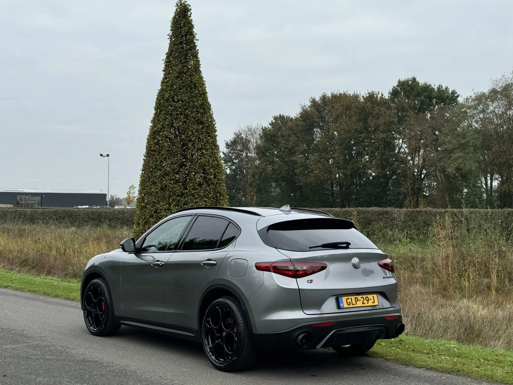 Hoofdafbeelding Alfa Romeo Stelvio