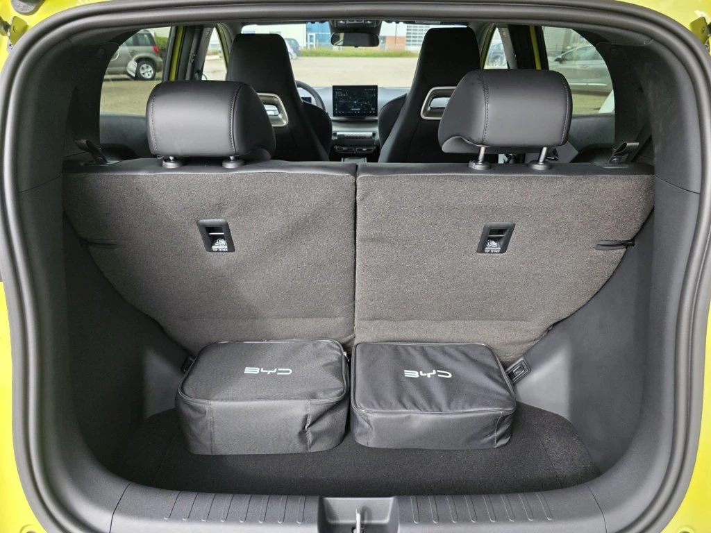 Hoofdafbeelding BYD DOLPHIN