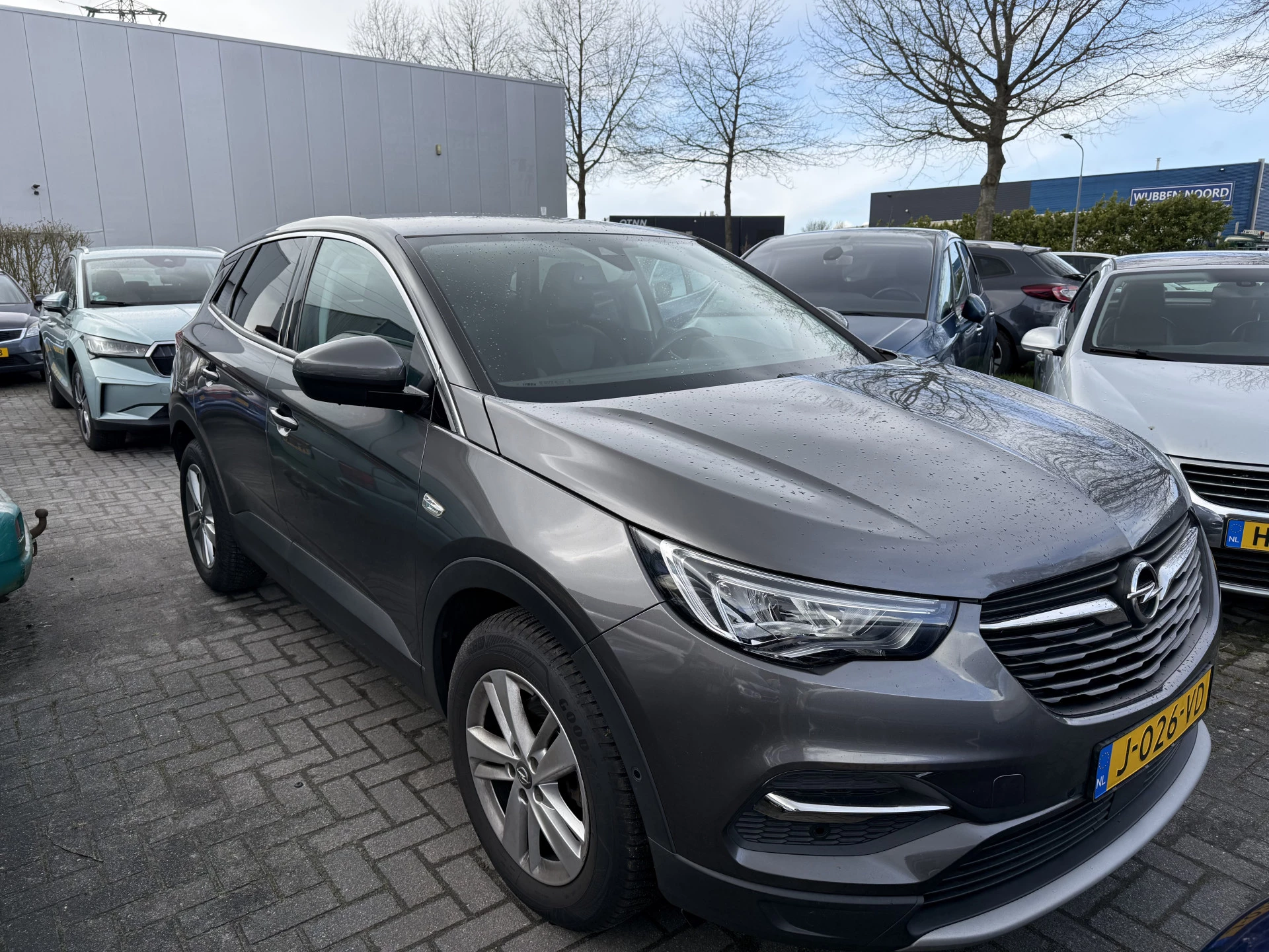 Hoofdafbeelding Opel Grandland X