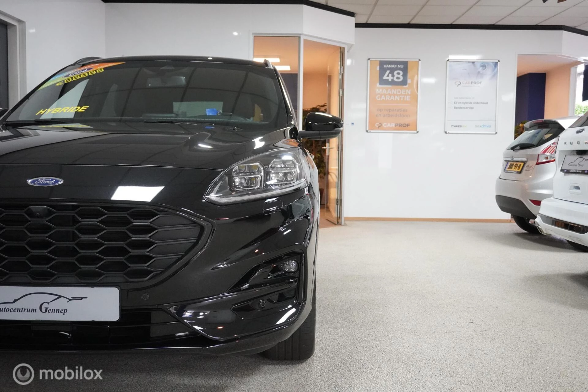 Hoofdafbeelding Ford Kuga