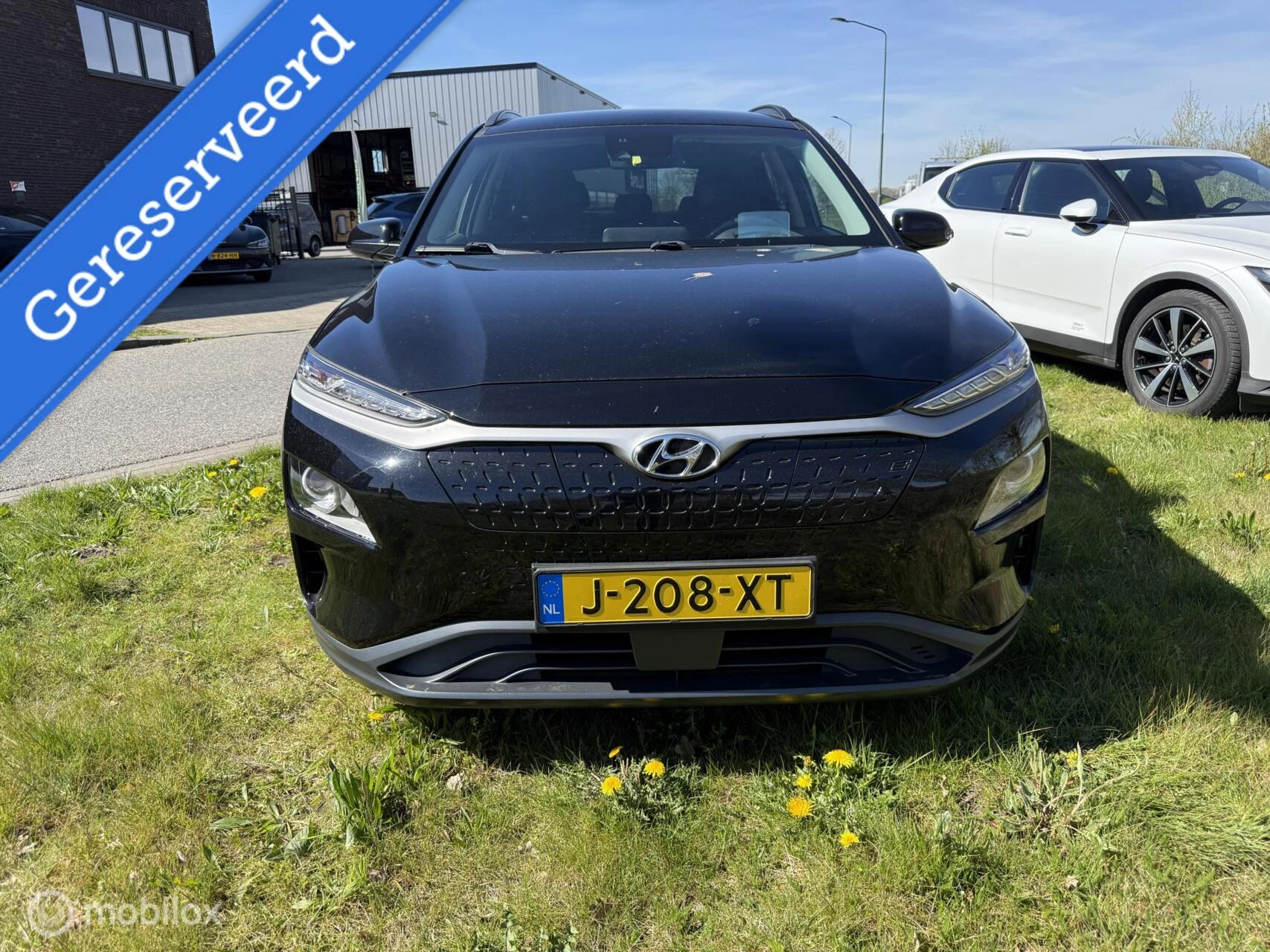 Hoofdafbeelding Hyundai Kona