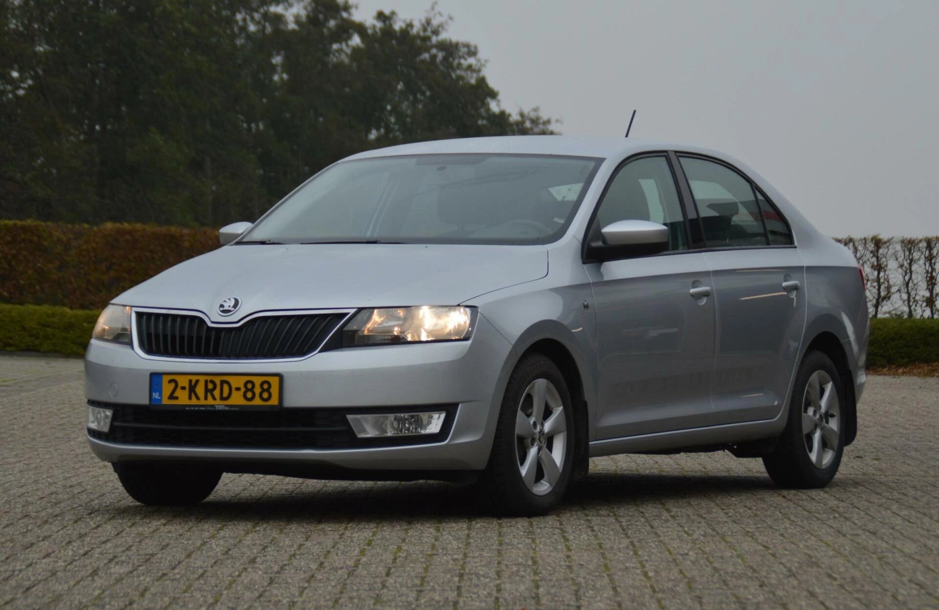 Hoofdafbeelding Škoda Rapid