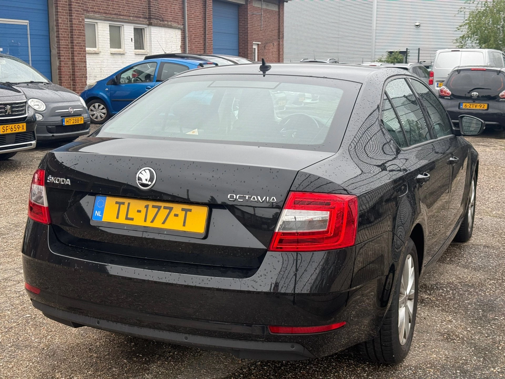 Hoofdafbeelding Škoda Octavia