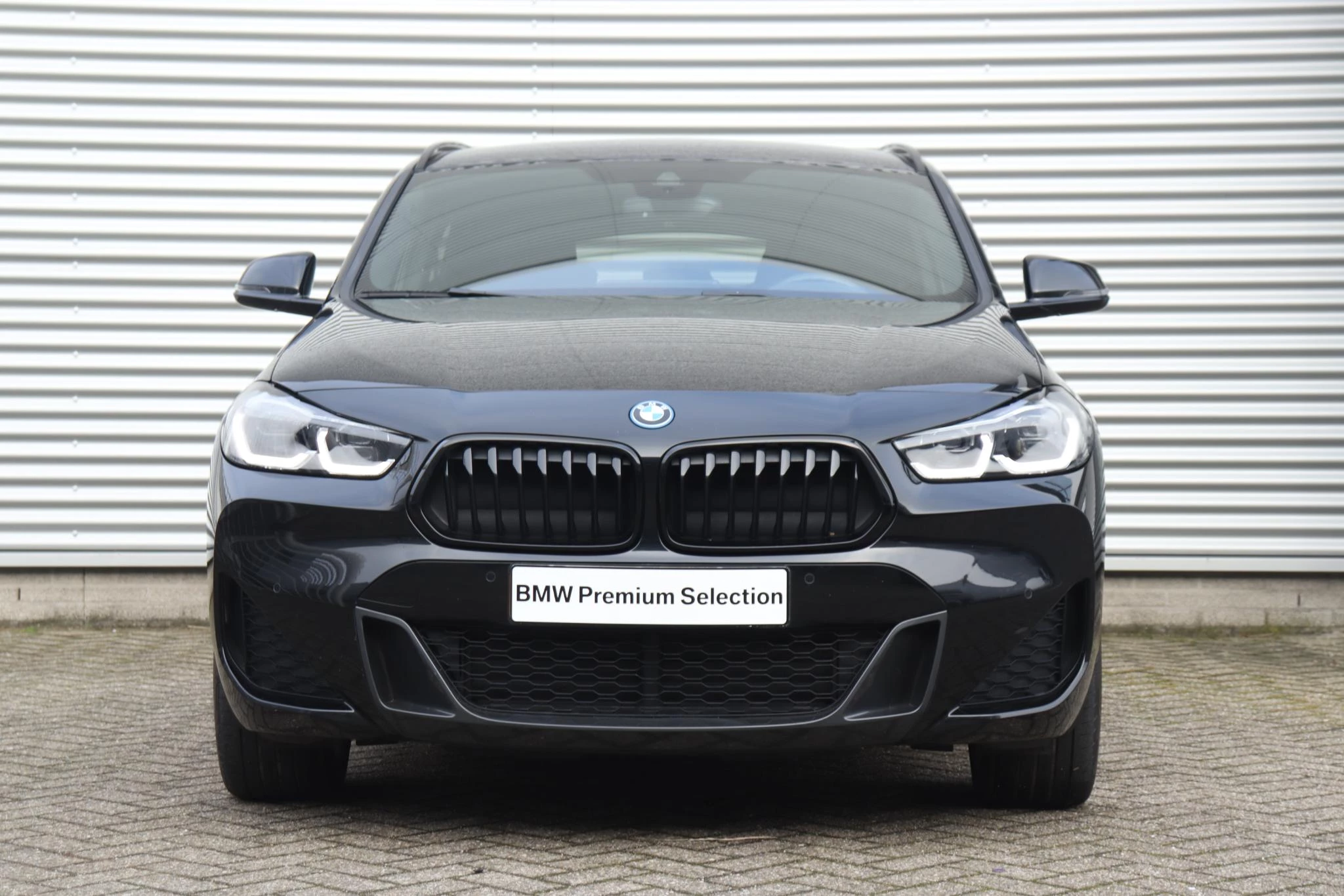 Hoofdafbeelding BMW X2