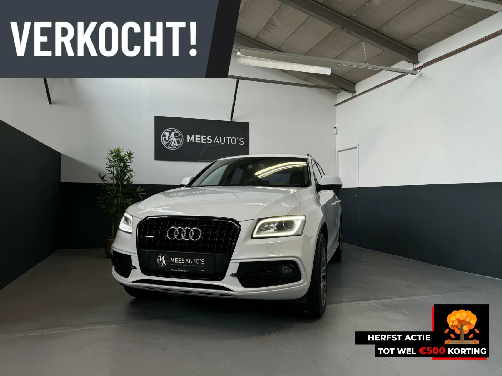 Hoofdafbeelding Audi Q5