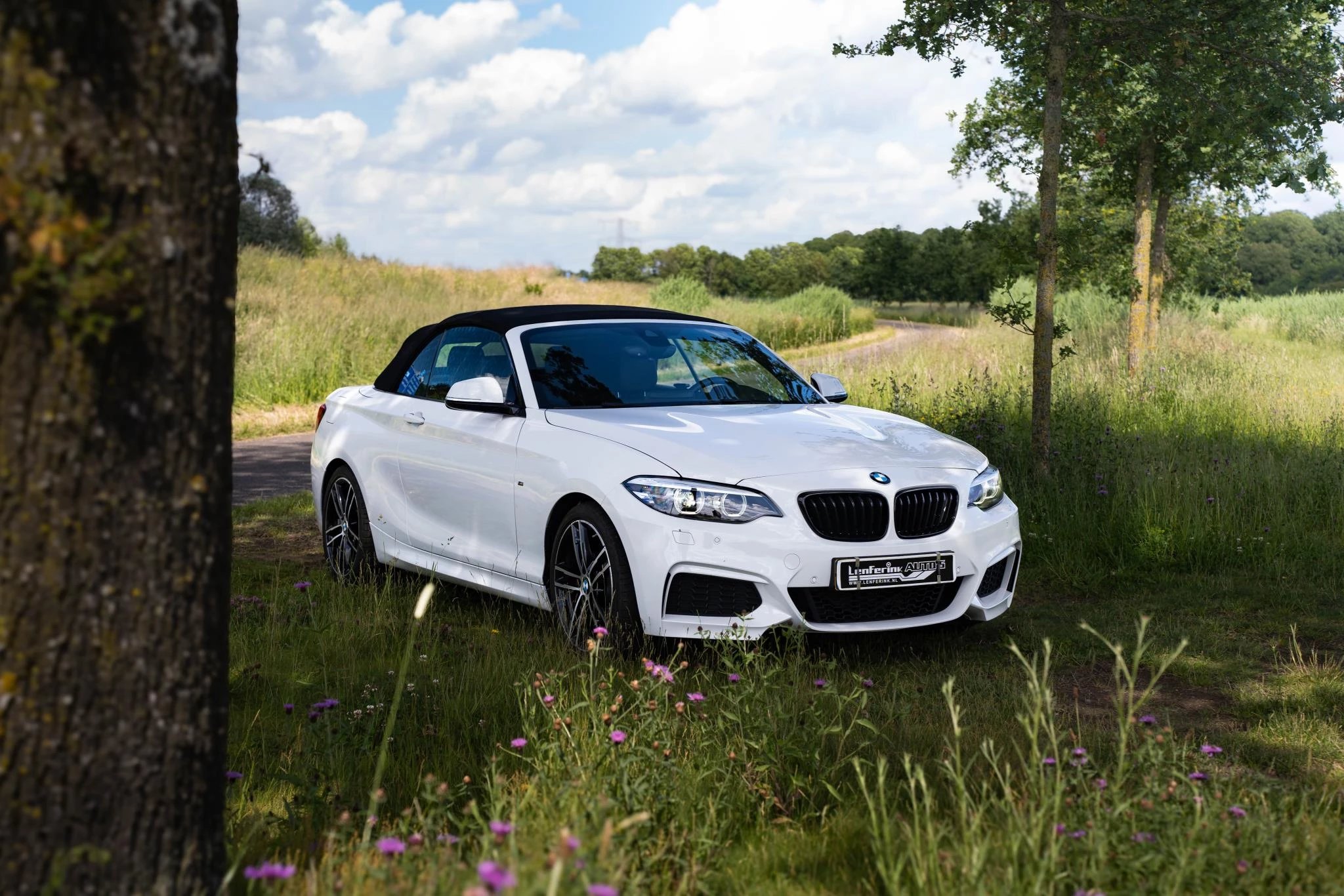 Hoofdafbeelding BMW 2 Serie