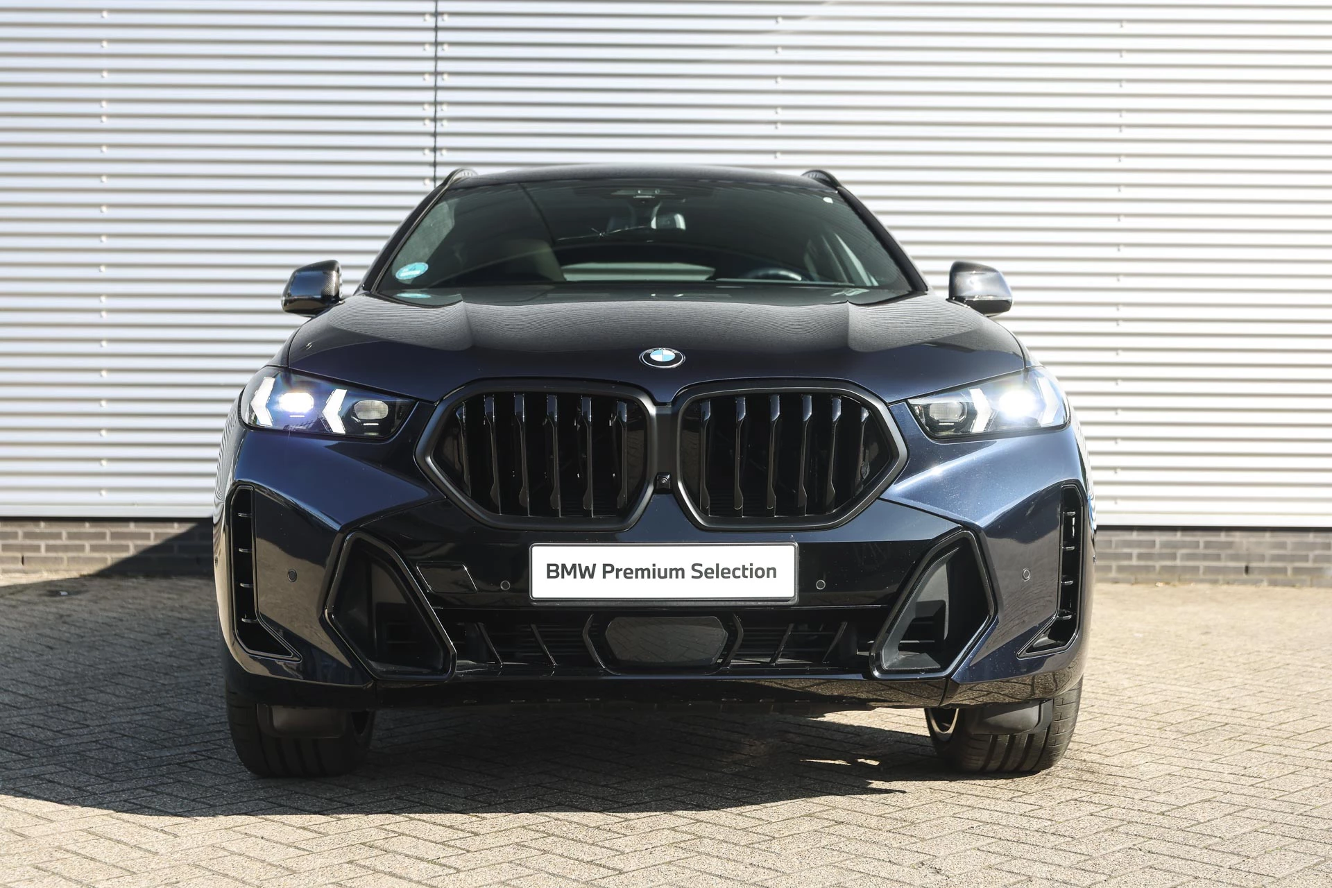 Hoofdafbeelding BMW X6