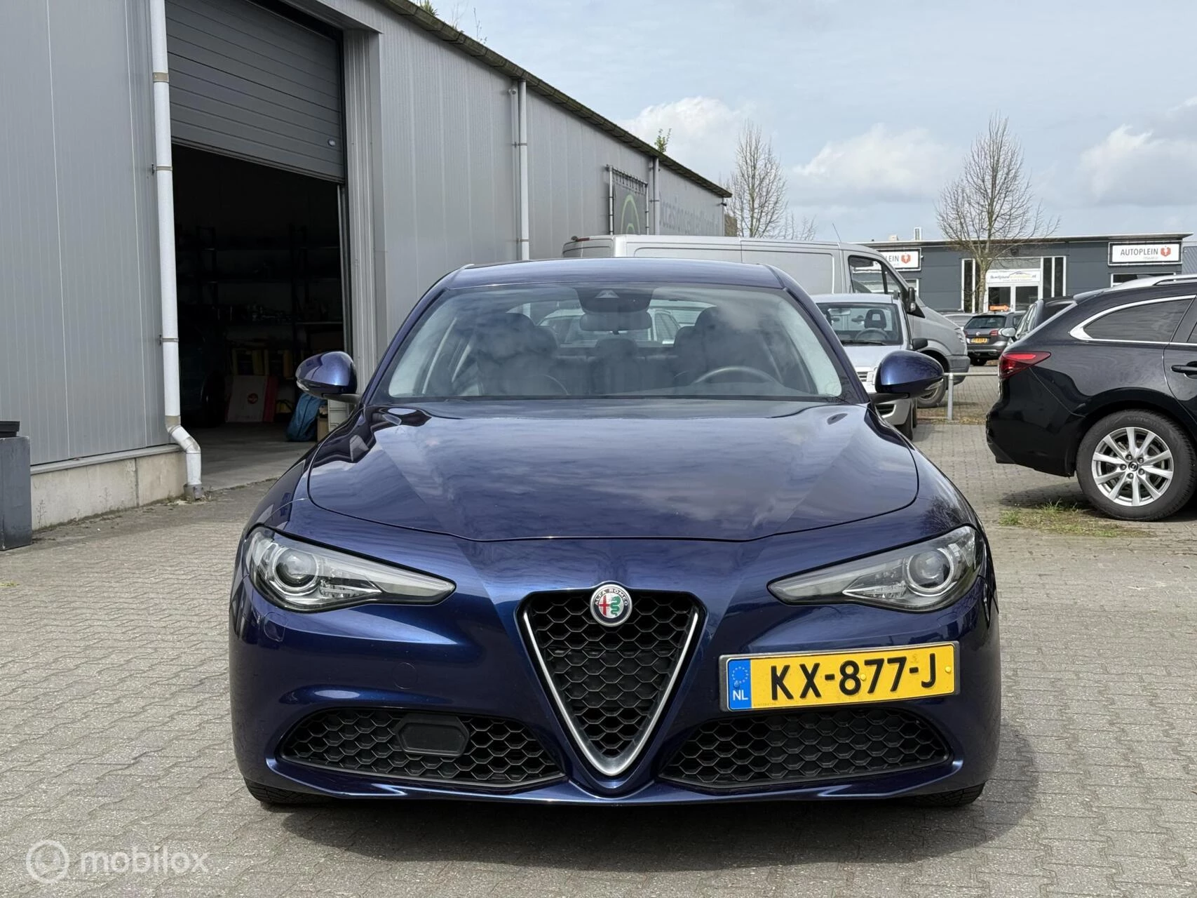 Hoofdafbeelding Alfa Romeo Giulia