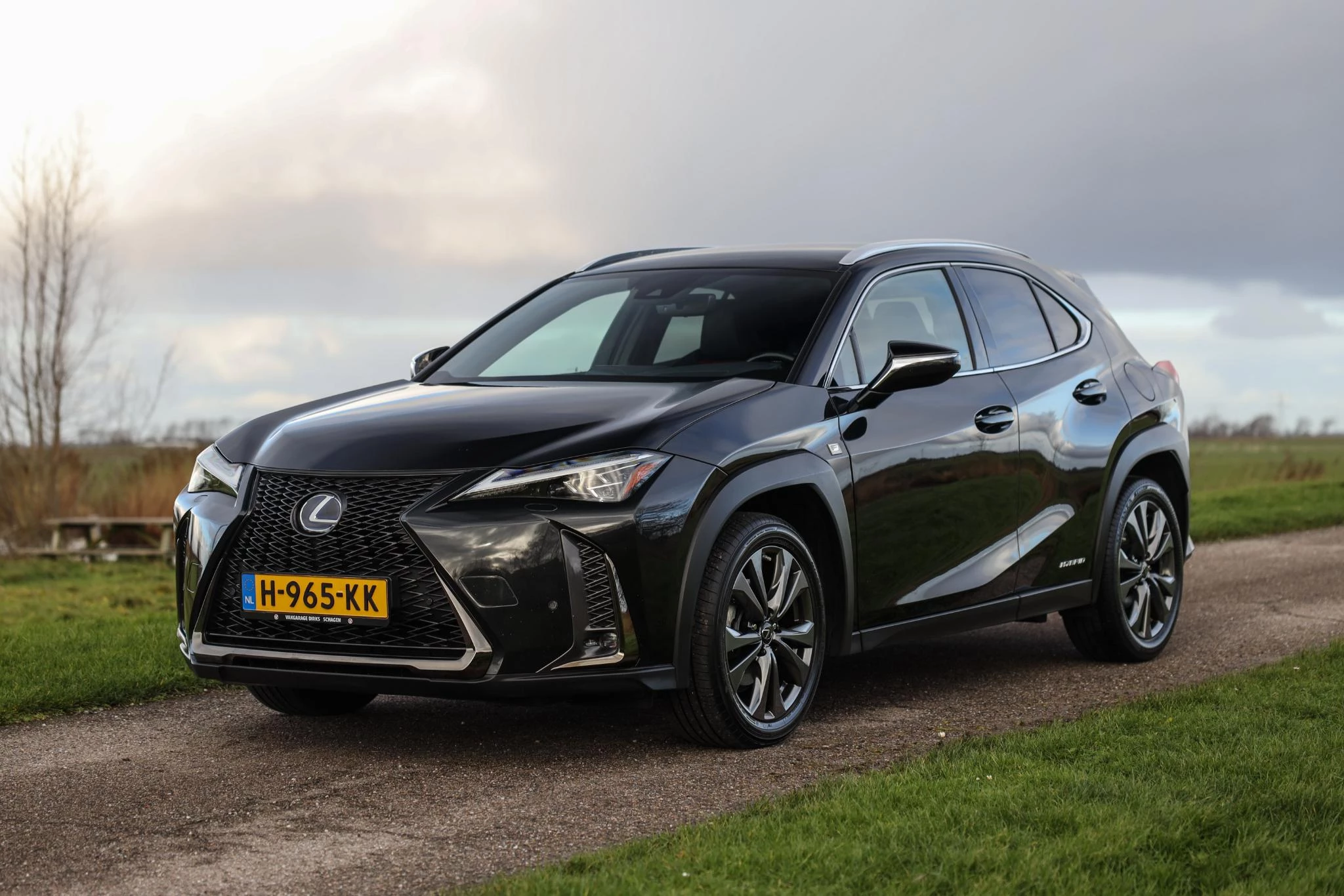 Hoofdafbeelding Lexus UX