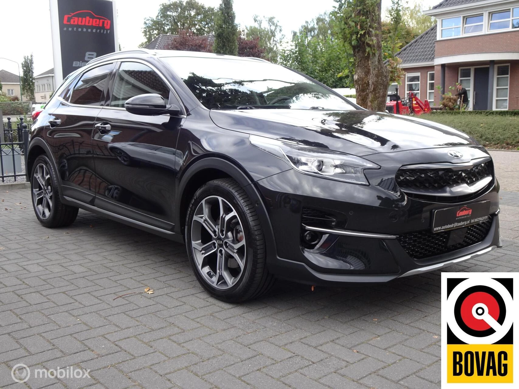 Hoofdafbeelding Kia XCeed