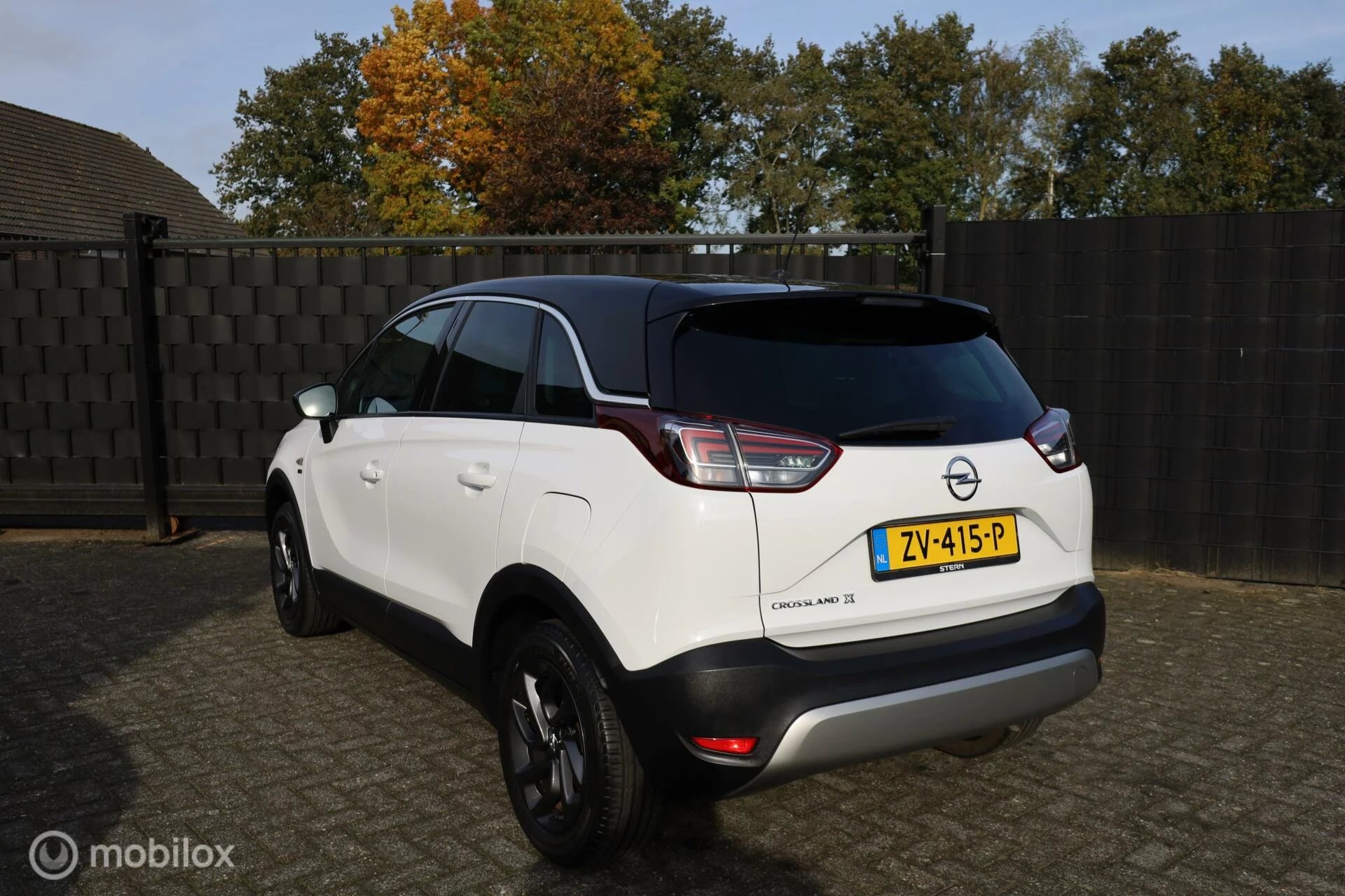 Hoofdafbeelding Opel Crossland X