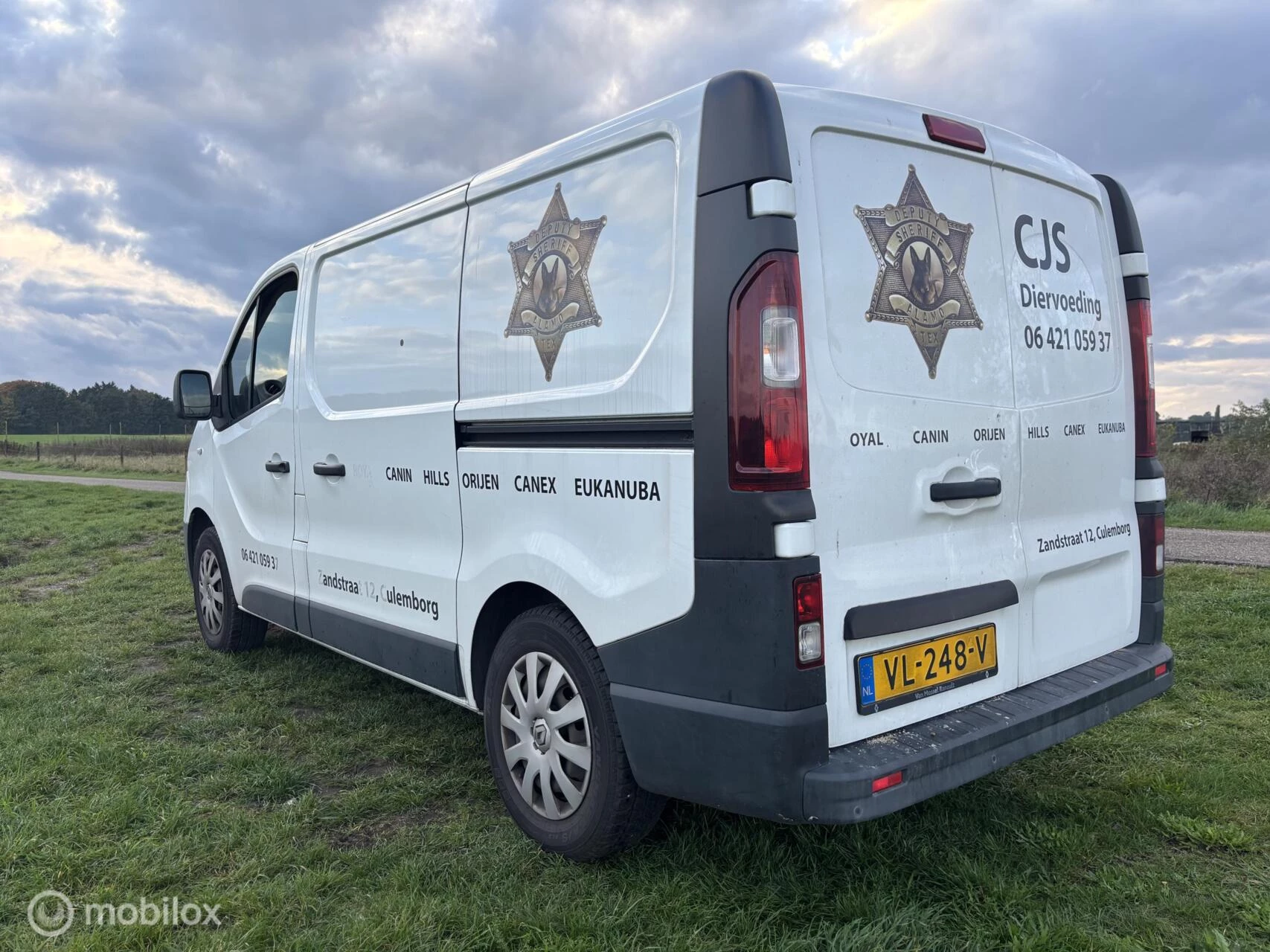 Hoofdafbeelding Renault Trafic