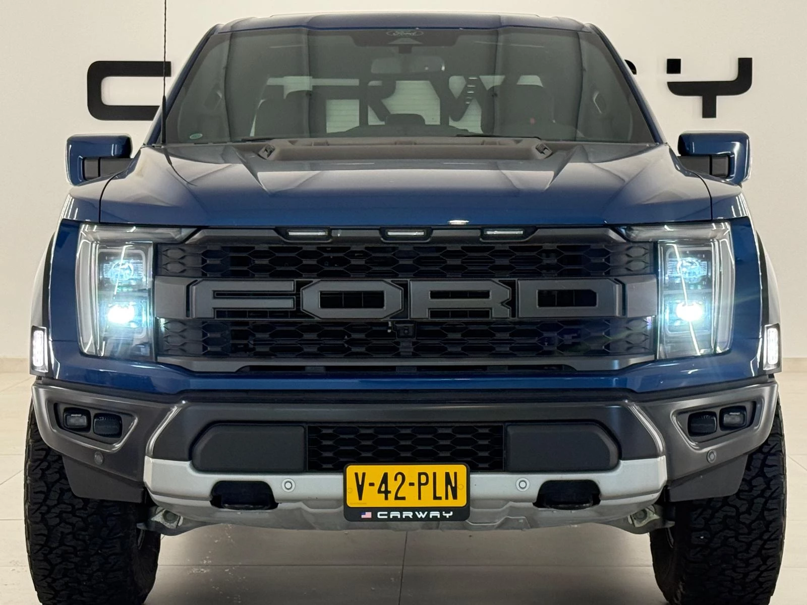 Hoofdafbeelding Ford F-150