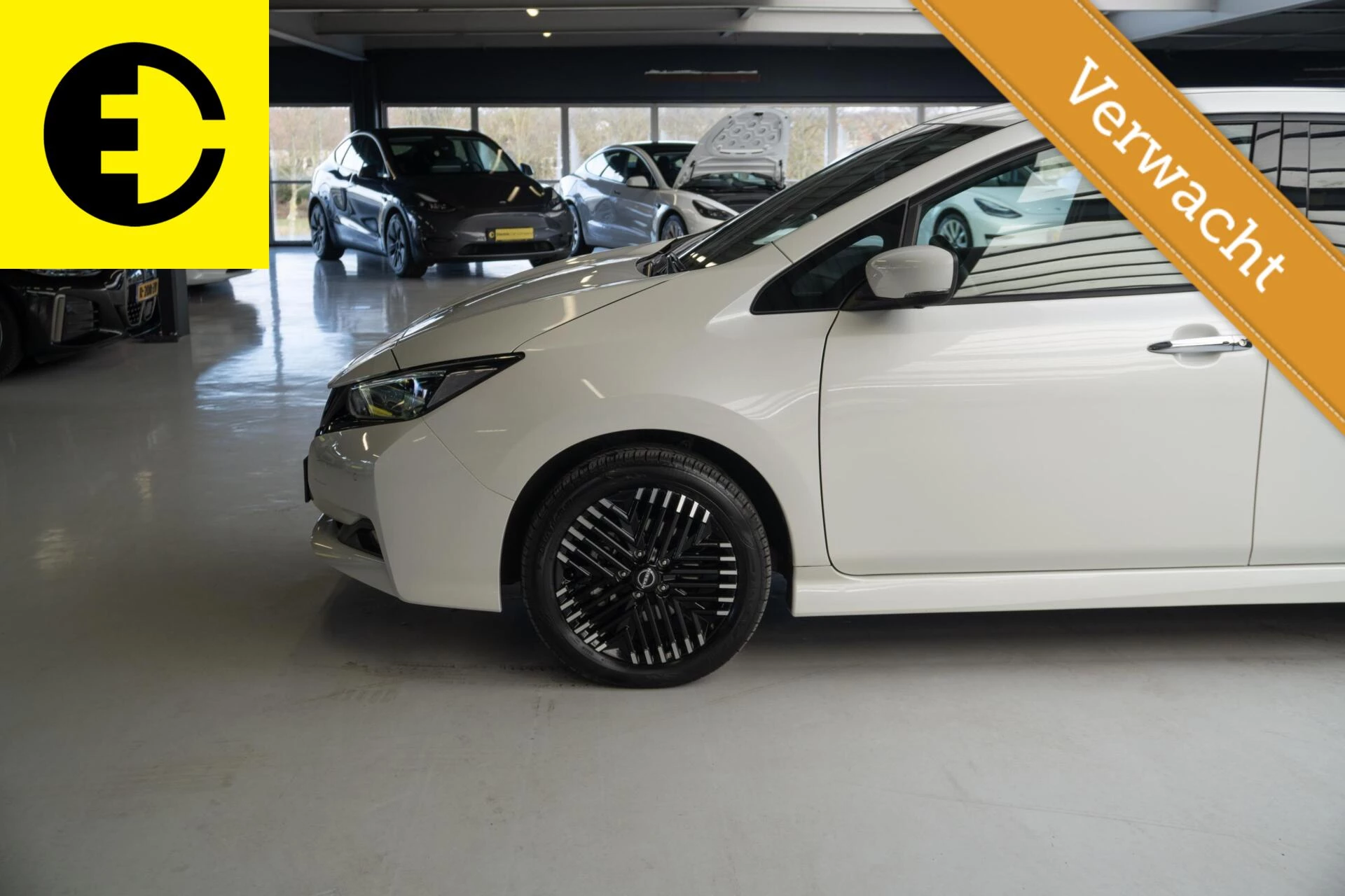 Hoofdafbeelding Nissan Leaf