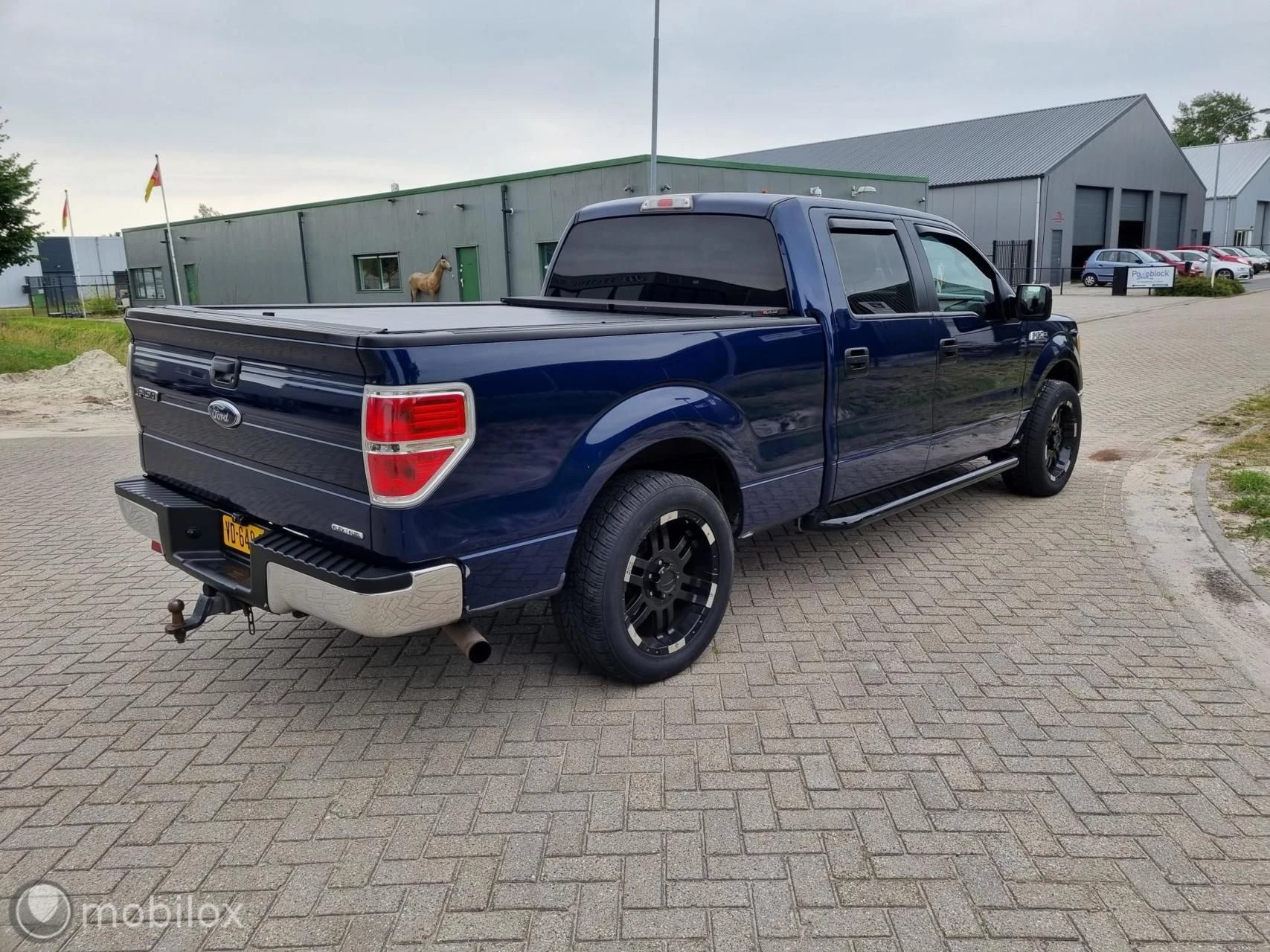 Hoofdafbeelding Ford F-150