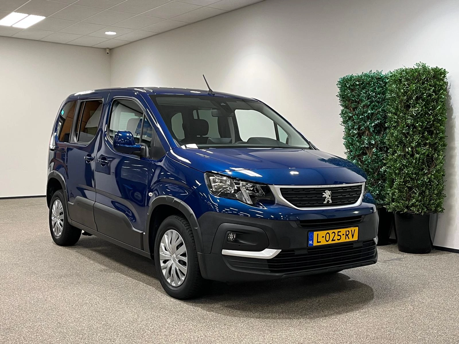 Hoofdafbeelding Peugeot Rifter