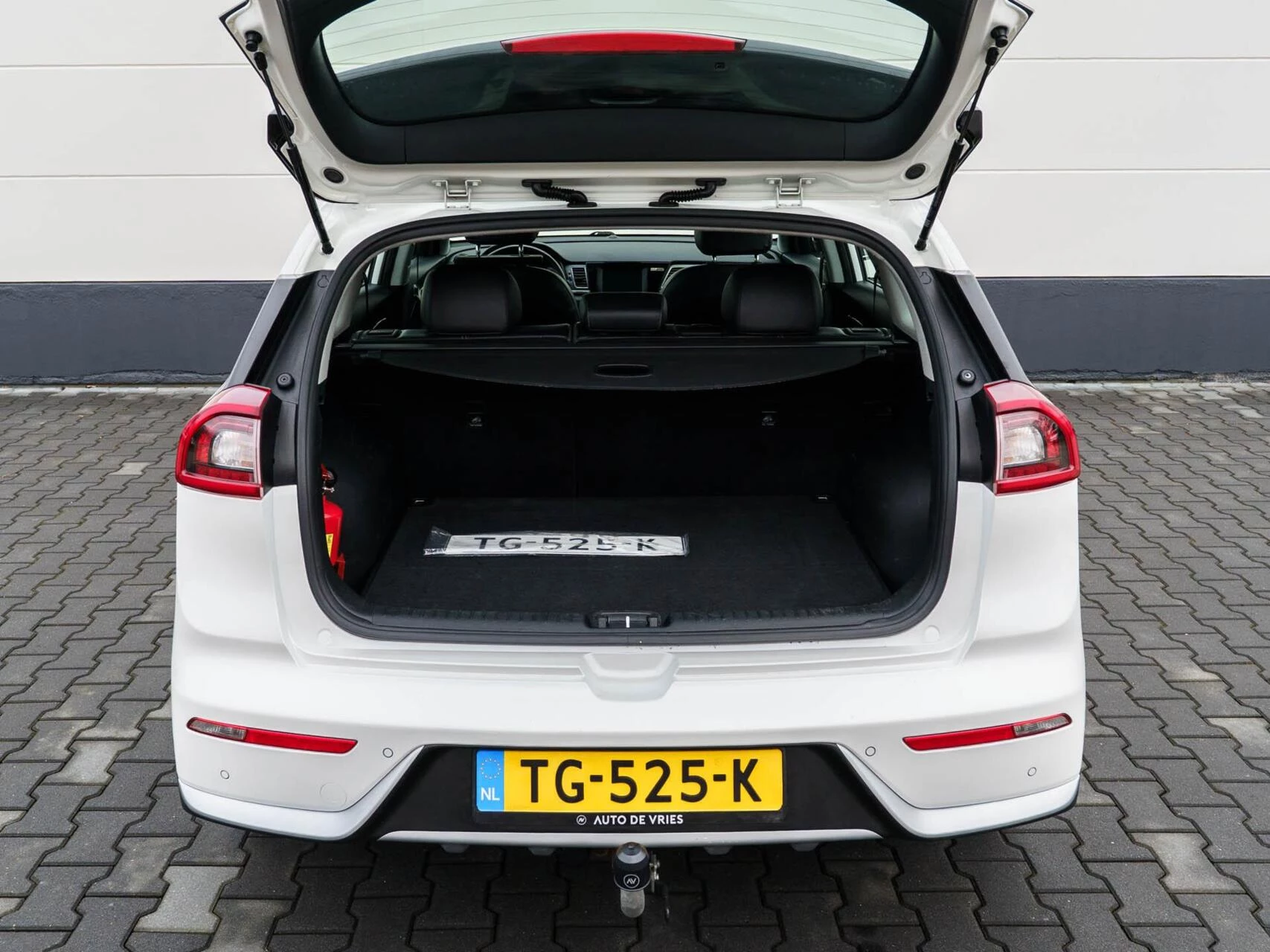 Hoofdafbeelding Kia Niro