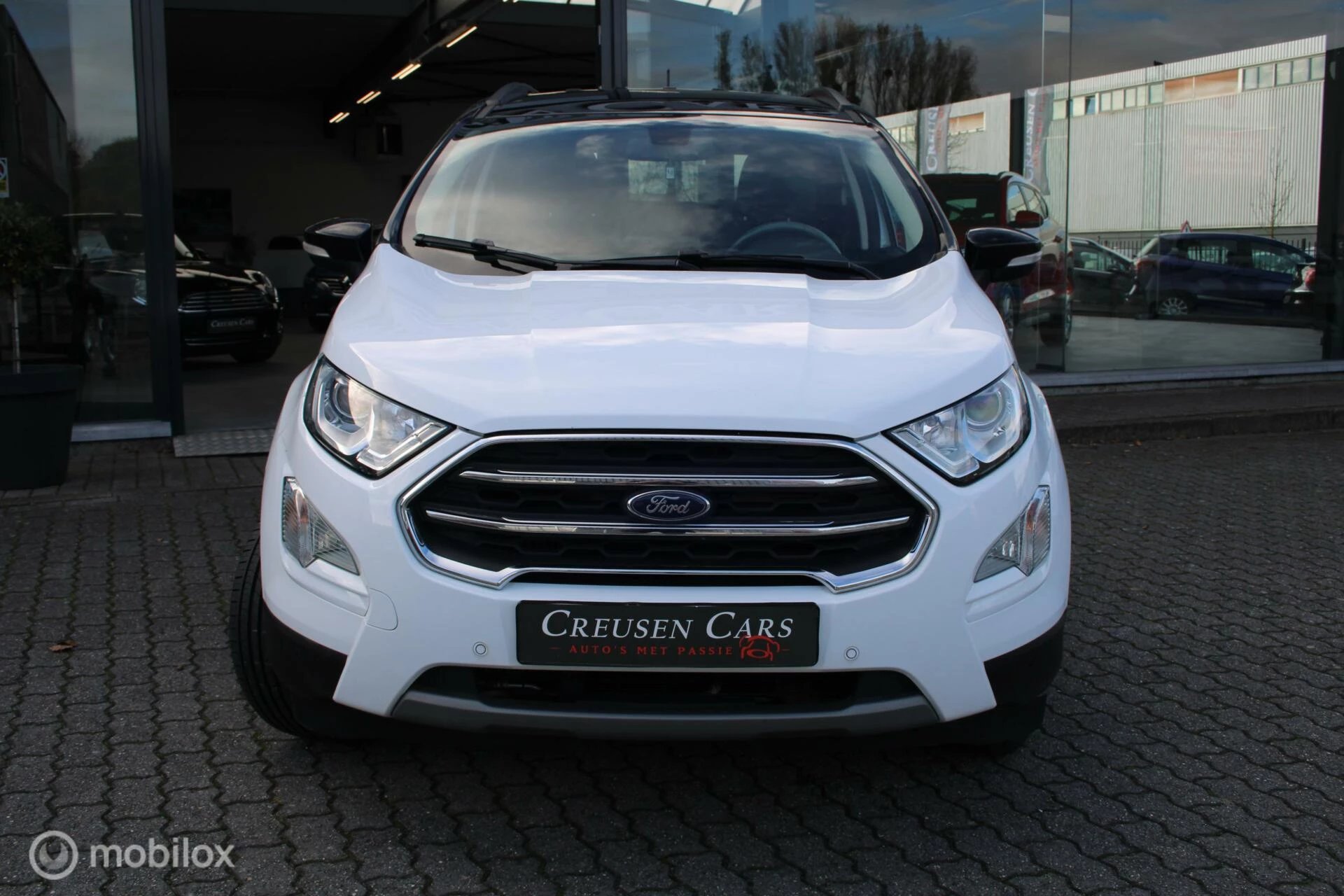 Hoofdafbeelding Ford EcoSport