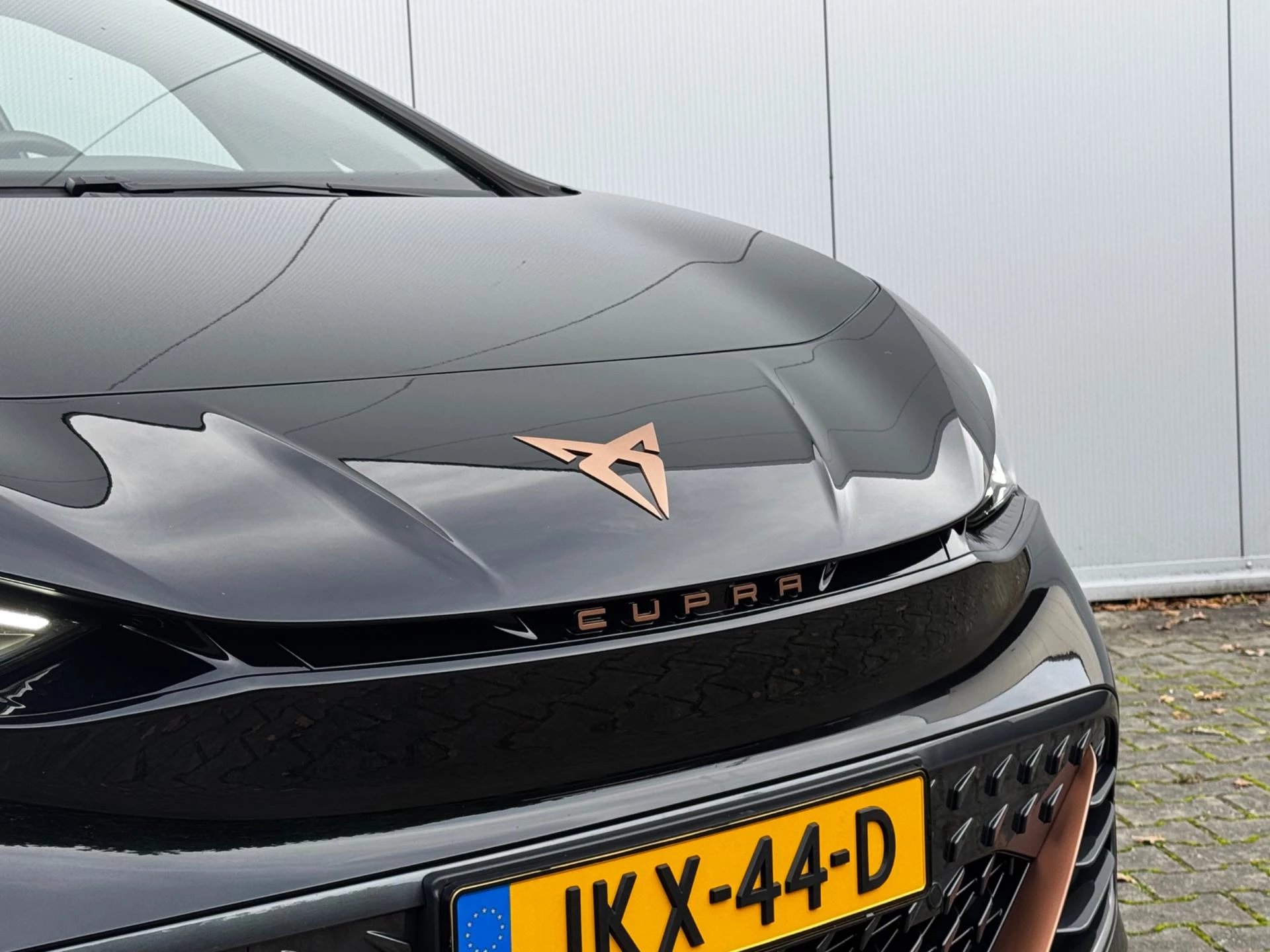 Hoofdafbeelding CUPRA Born