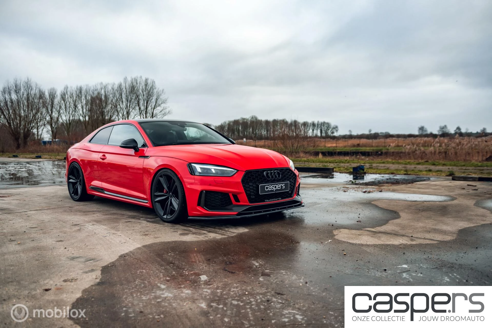 Hoofdafbeelding Audi RS5