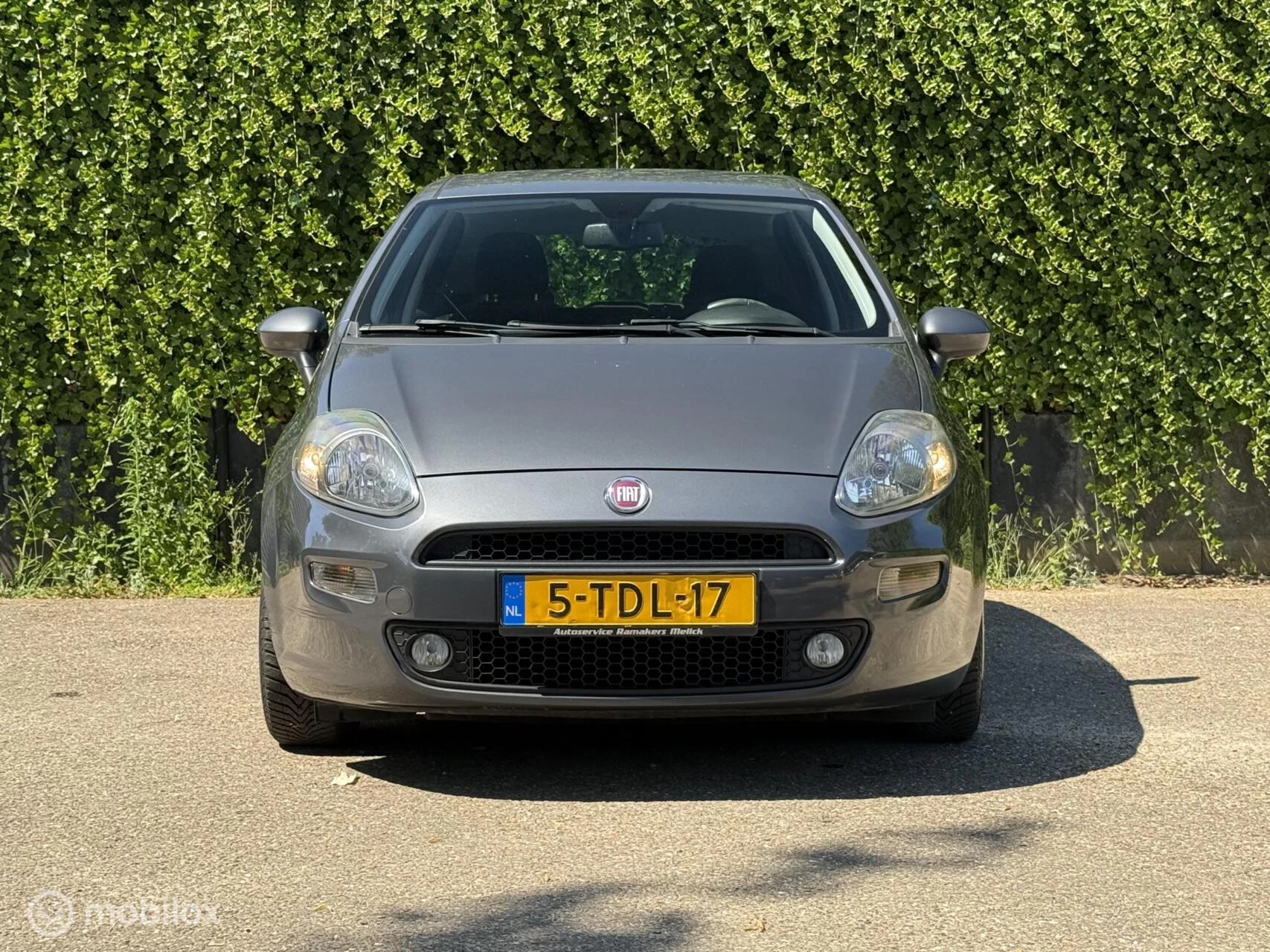 Hoofdafbeelding Fiat Punto