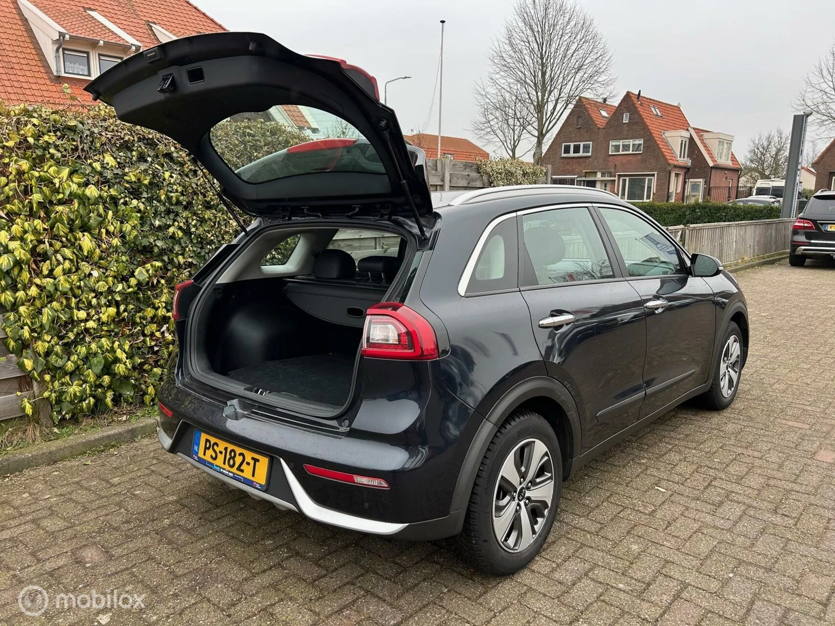 Hoofdafbeelding Kia Niro