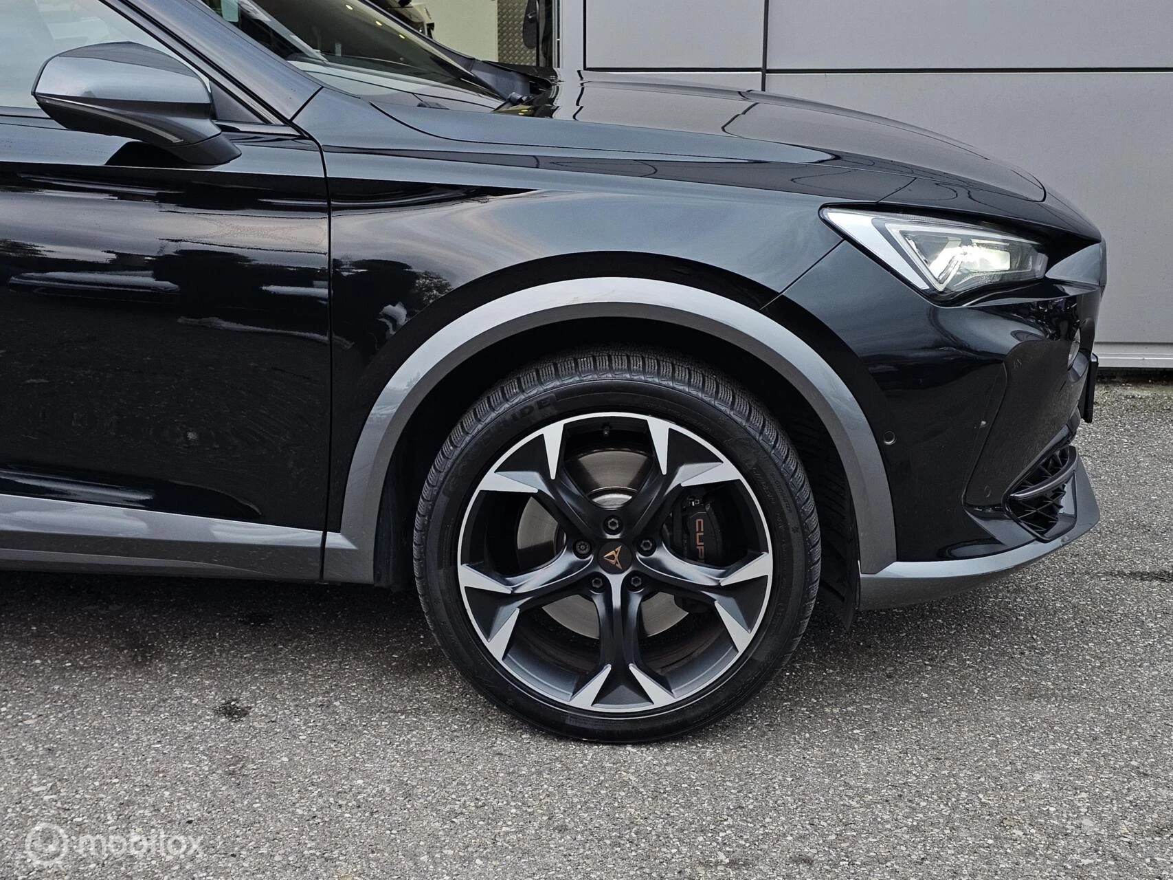 Hoofdafbeelding CUPRA Formentor