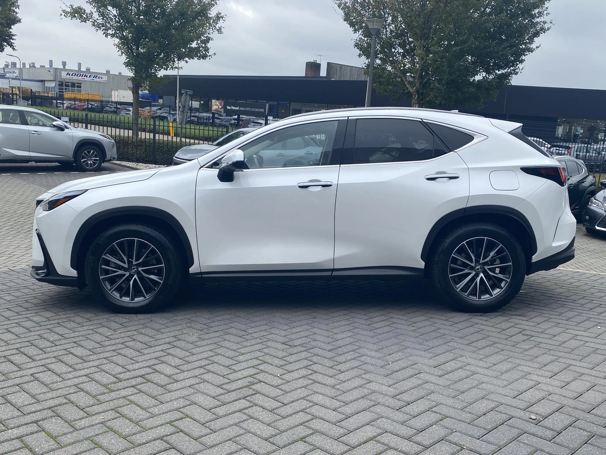 Hoofdafbeelding Lexus NX