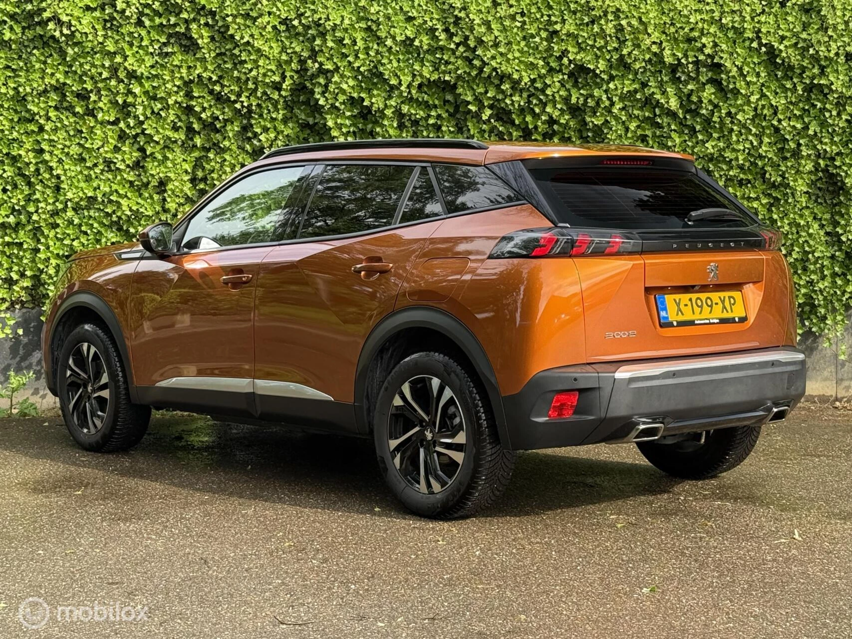 Hoofdafbeelding Peugeot 2008
