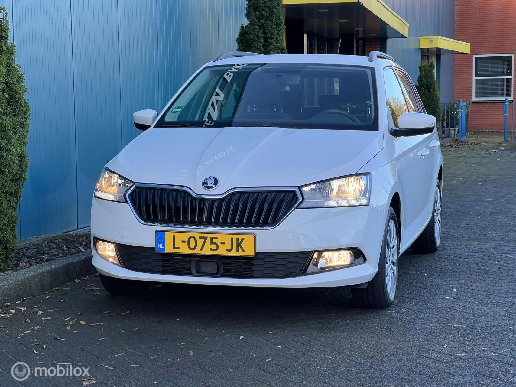 Hoofdafbeelding Škoda Fabia