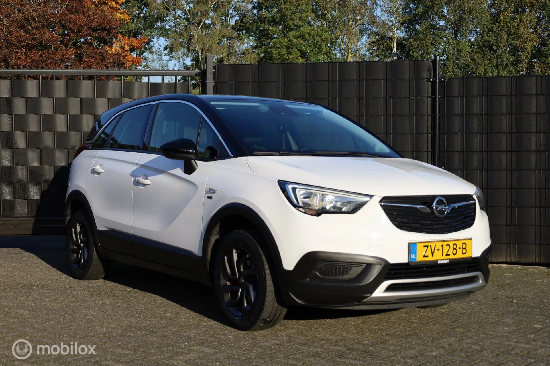 Hoofdafbeelding Opel Crossland X