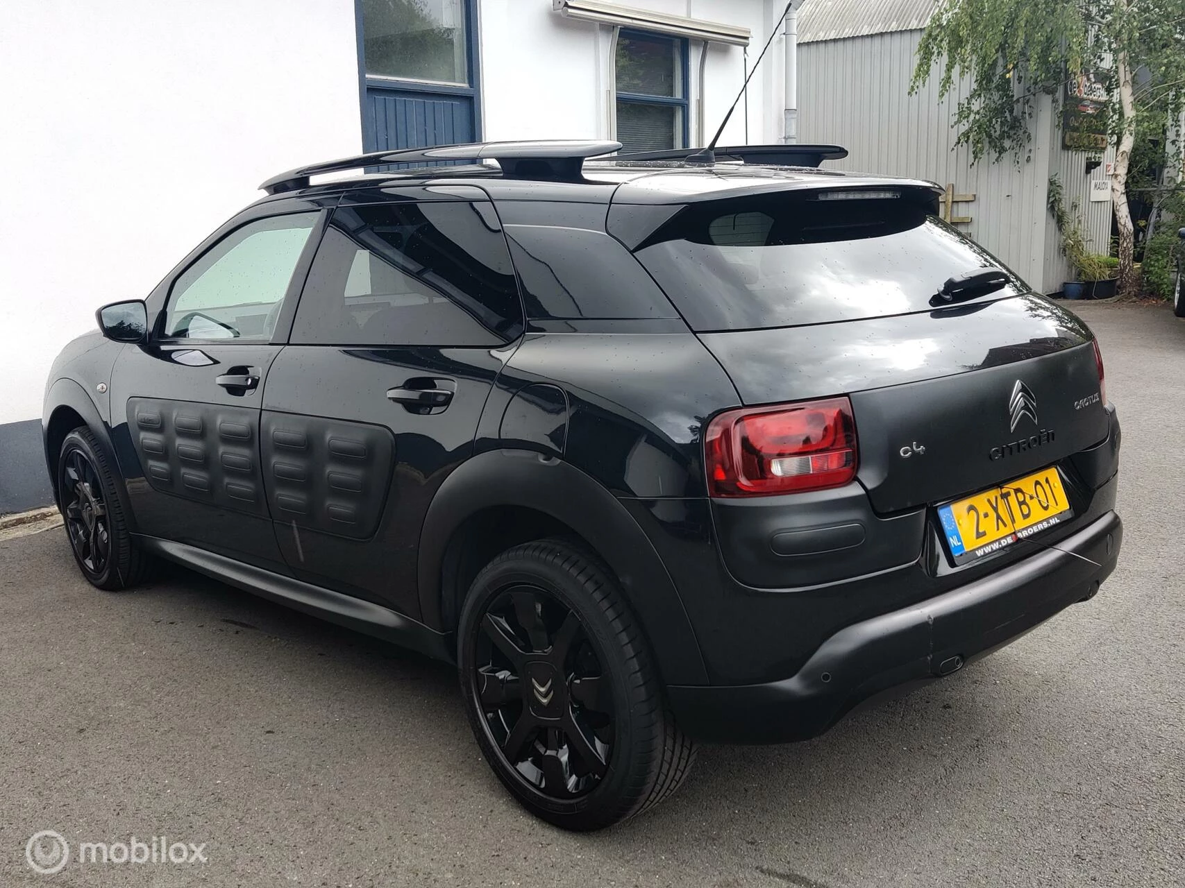 Hoofdafbeelding Citroën C4 Cactus