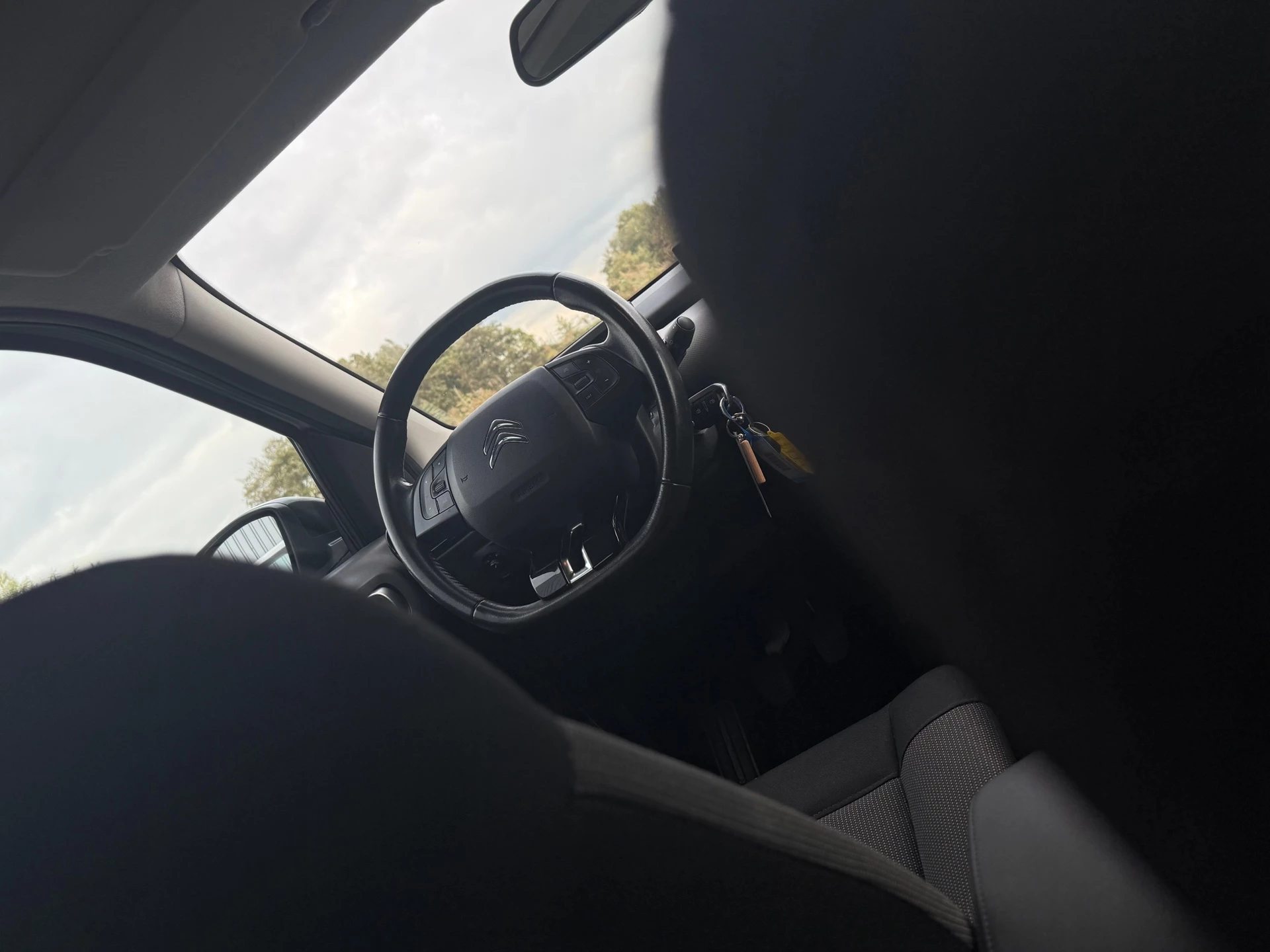 Hoofdafbeelding Citroën C4 Cactus