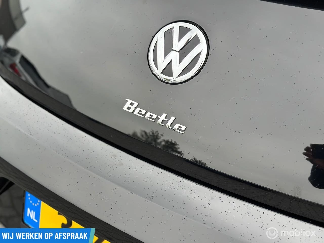 Hoofdafbeelding Volkswagen Beetle