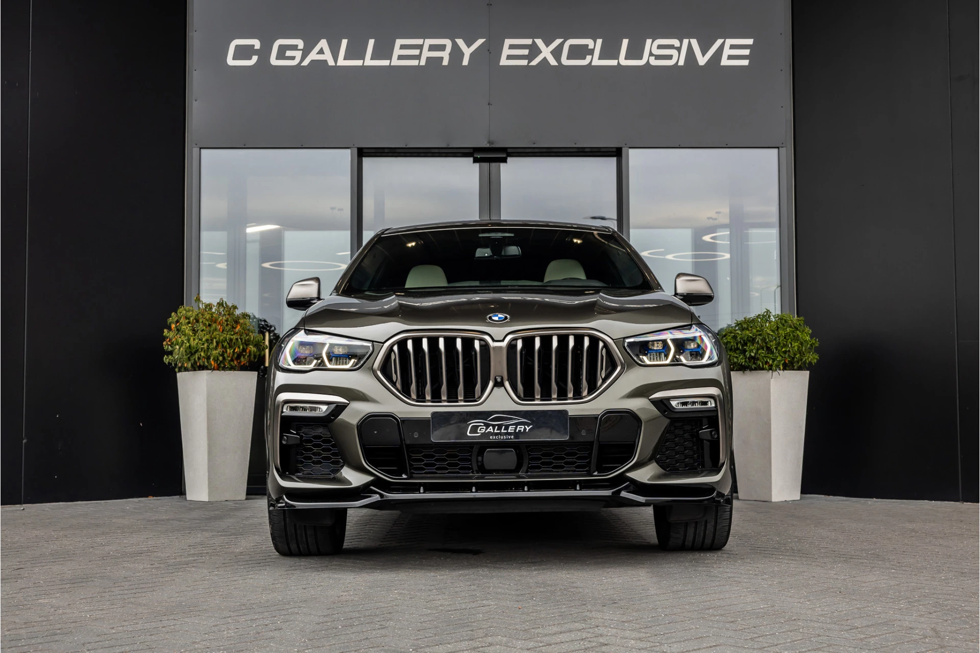 Hoofdafbeelding BMW X6
