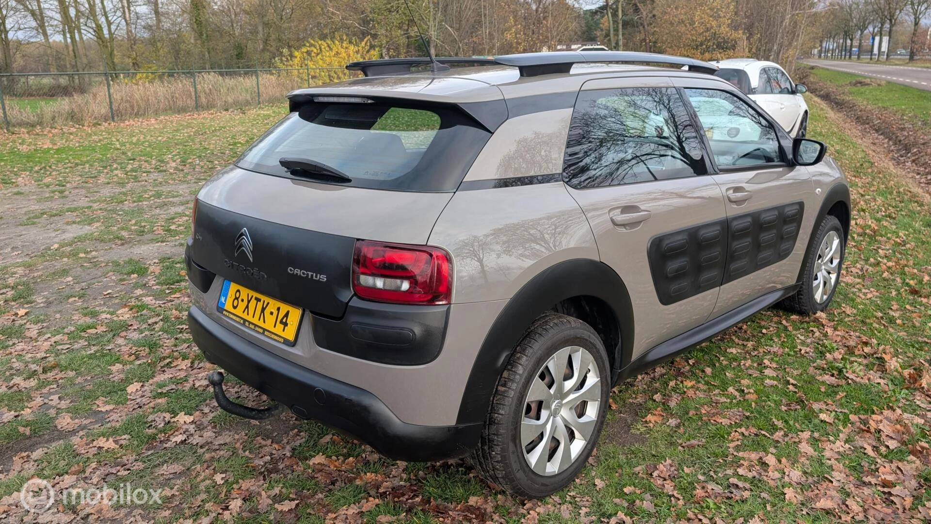 Hoofdafbeelding Citroën C4 Cactus