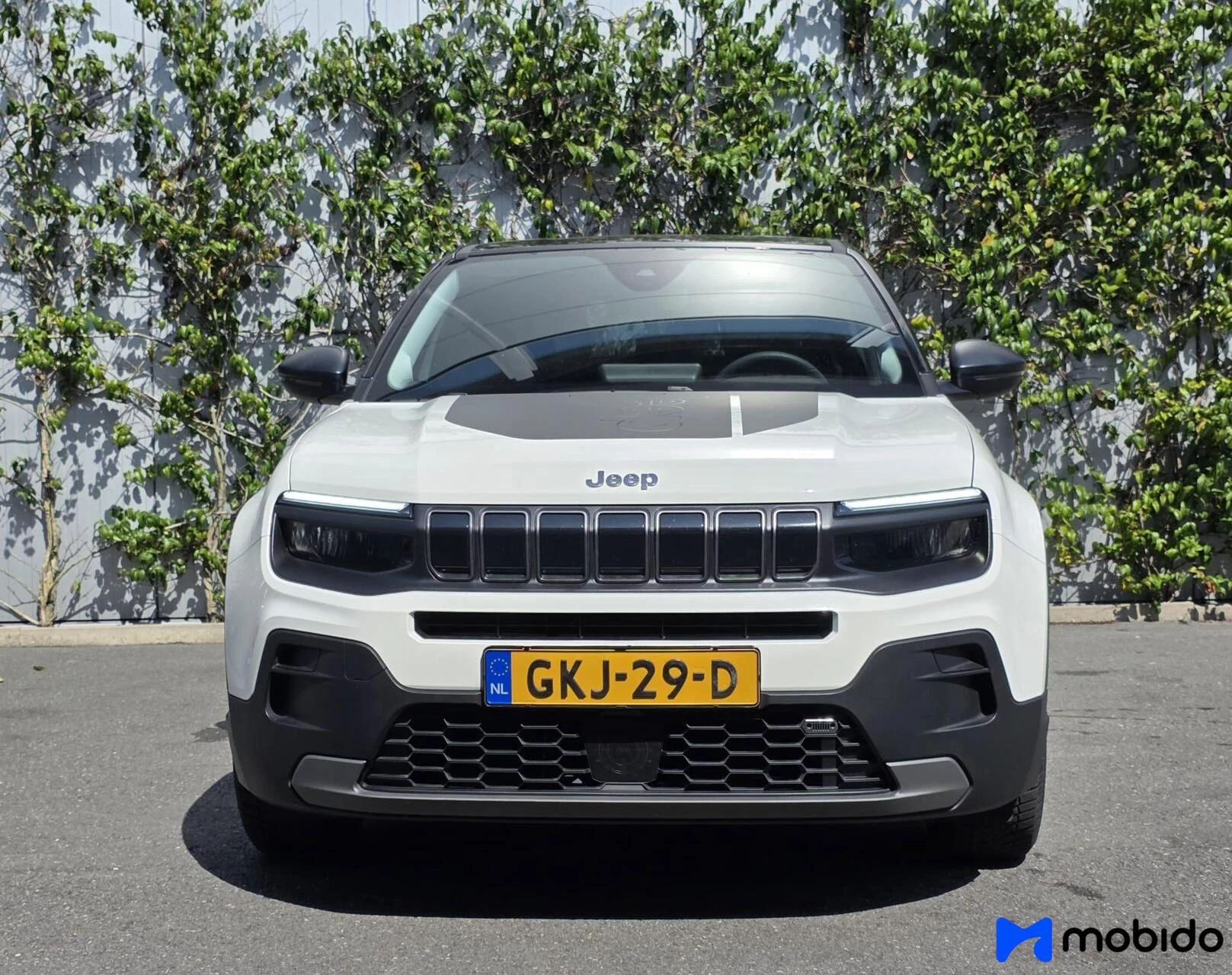 Hoofdafbeelding Jeep Avenger