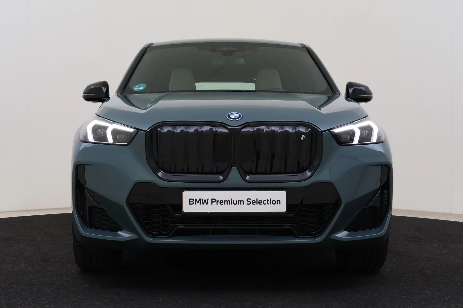 Hoofdafbeelding BMW iX1