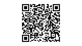 Hyundai i20 1.0 T-GDI N Line 120pk Clima CarPlay Camera Incl 12Mnd Garantie