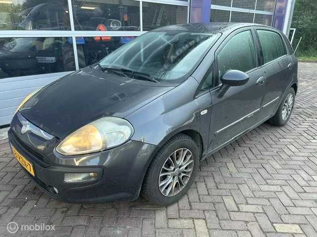 Hoofdafbeelding Fiat Punto