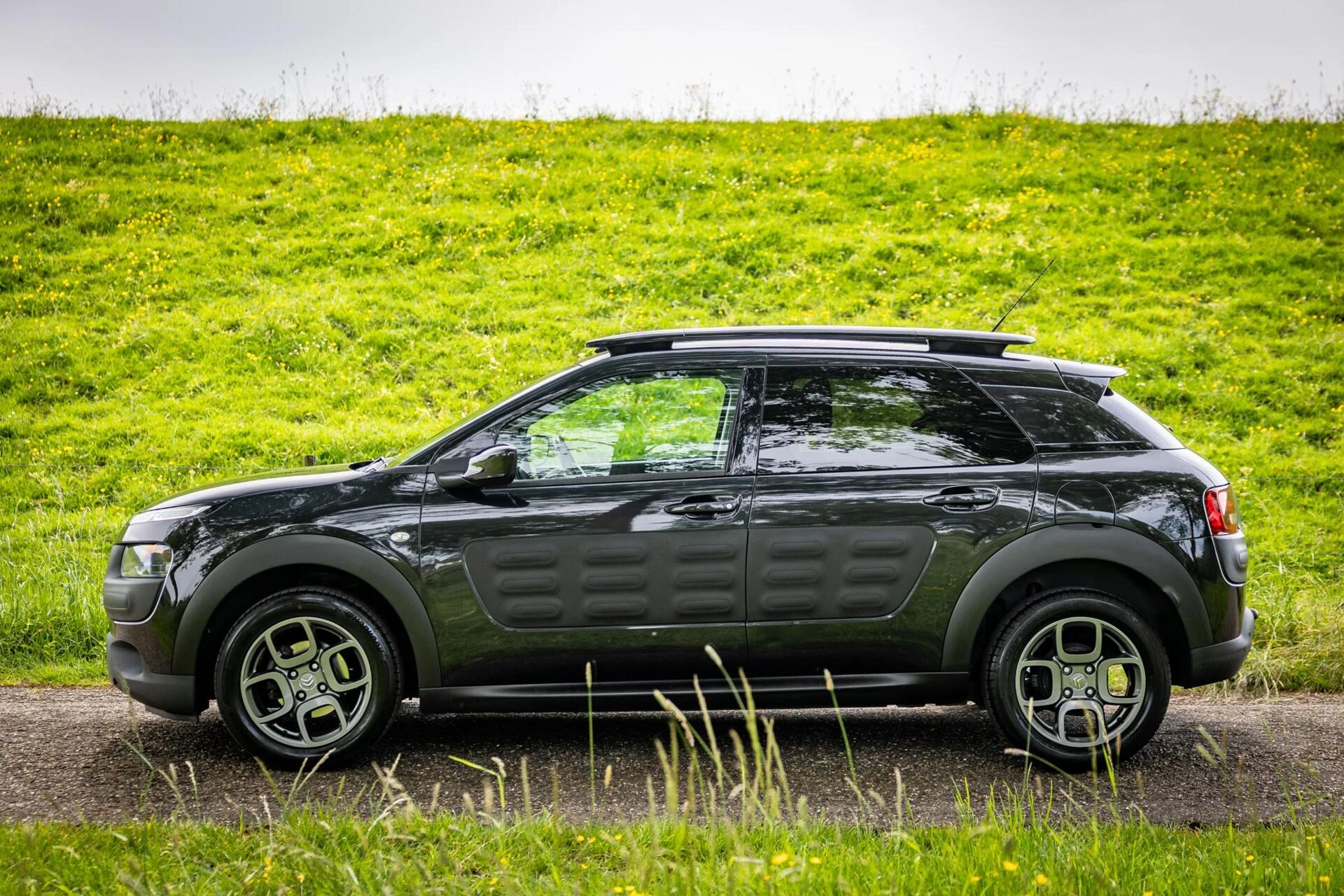 Hoofdafbeelding Citroën C4 Cactus
